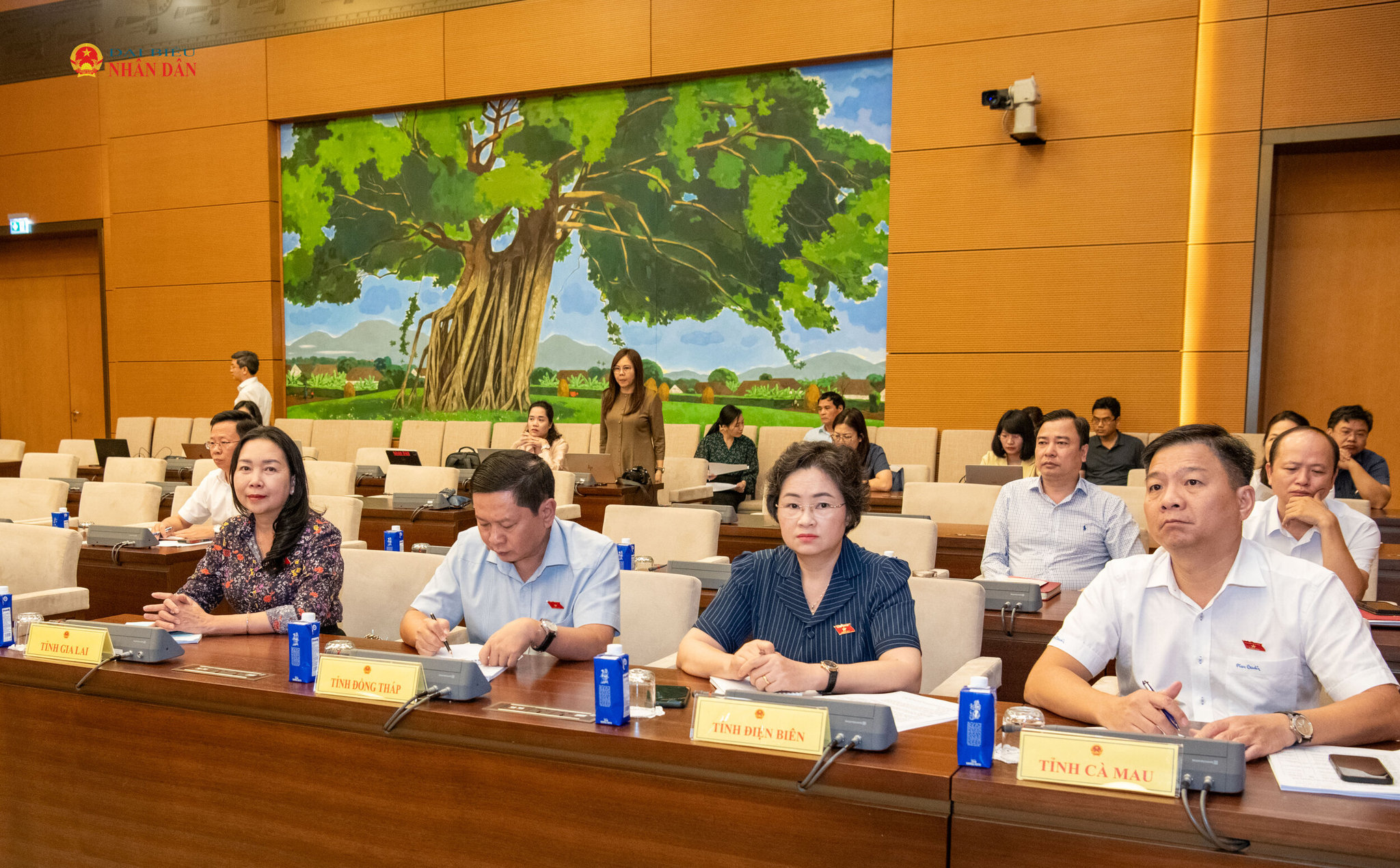 Các đại biểu dự cuộc họp.7