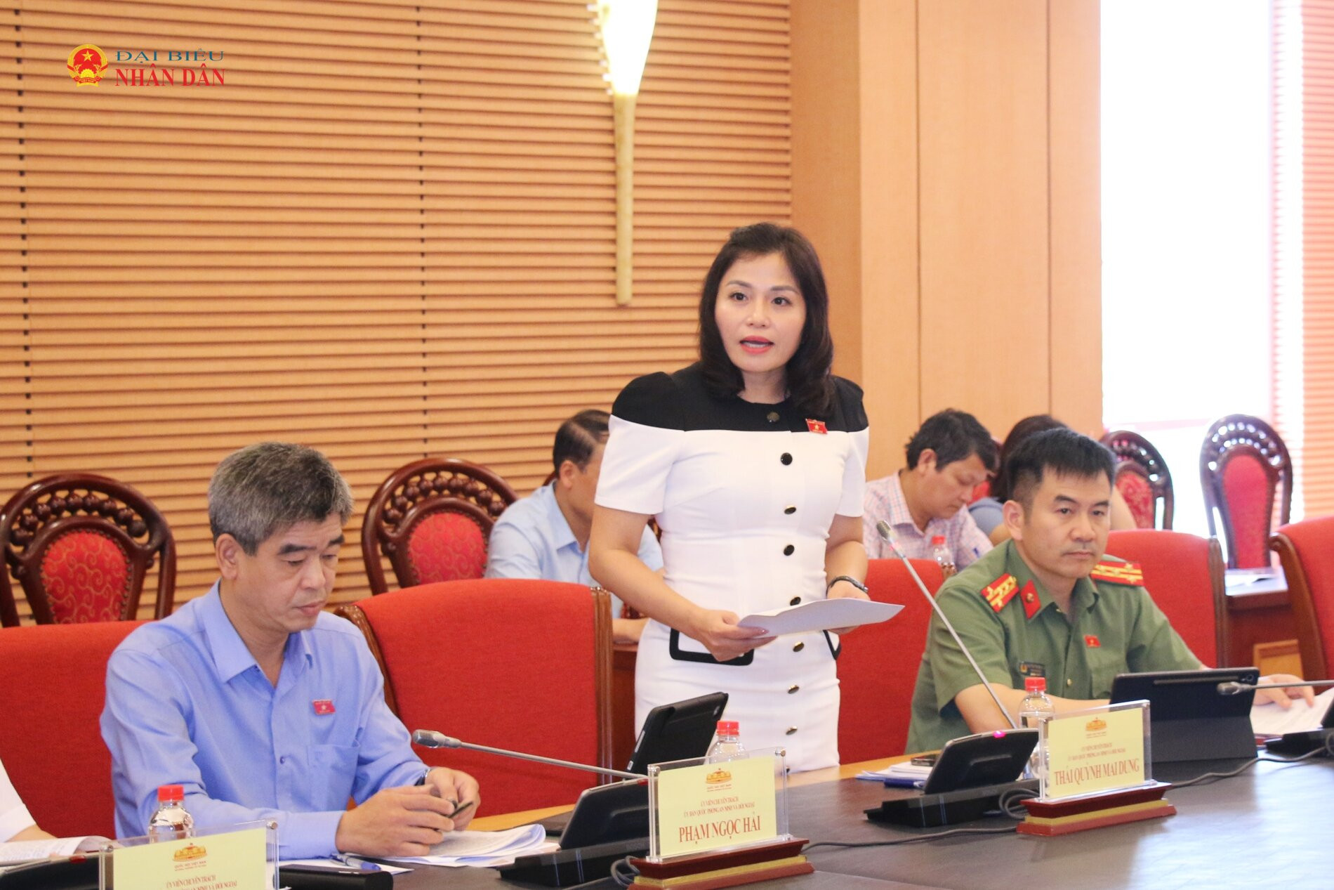 ĐBQH hoạt động chuyên trách tại Ủy ban Quốc phòng, An ninh và Đối ngoại Thái Quỳnh Mai Dung phát biểu tại phiên họp