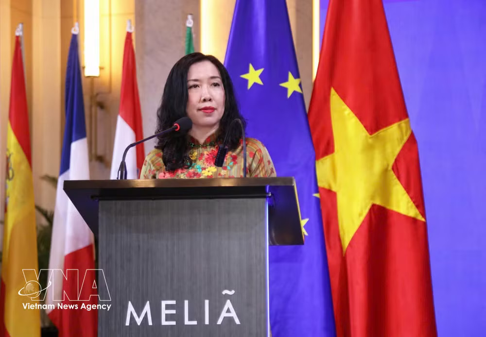 Deputy Minister of Foreign Affairs Le Thi Thu Hang (Photo: VNA) vnanet-le-thi-thu-hang.jpg