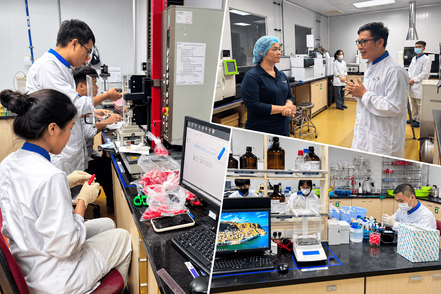 Modern Laboratory Team at Work (1)