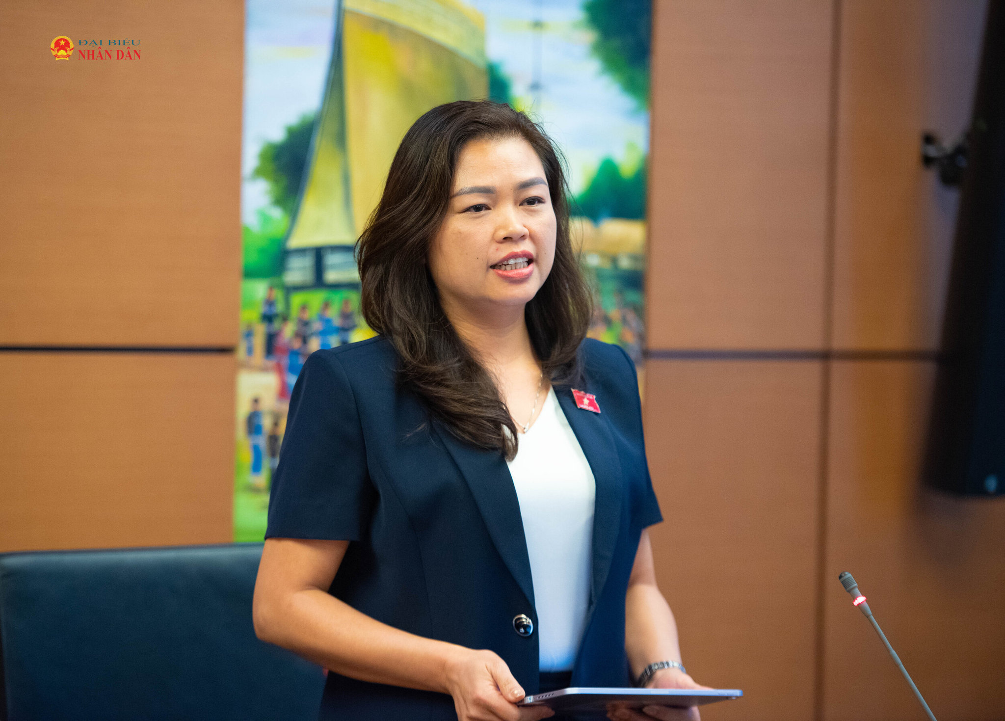 ĐBQH Đoàn Thị Lê An (Cao Bằng) phát biểu