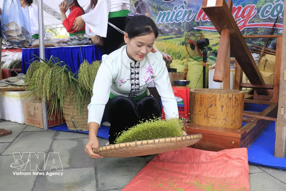 Tu Le young green rice is one of the well-known agricultural products from Lao Cai.(Photo: VNA) vnanet_potal-lao-cai-khai-mac-hoi-cho-du-lich-tay-bac-nam-2026-9092103.jpg