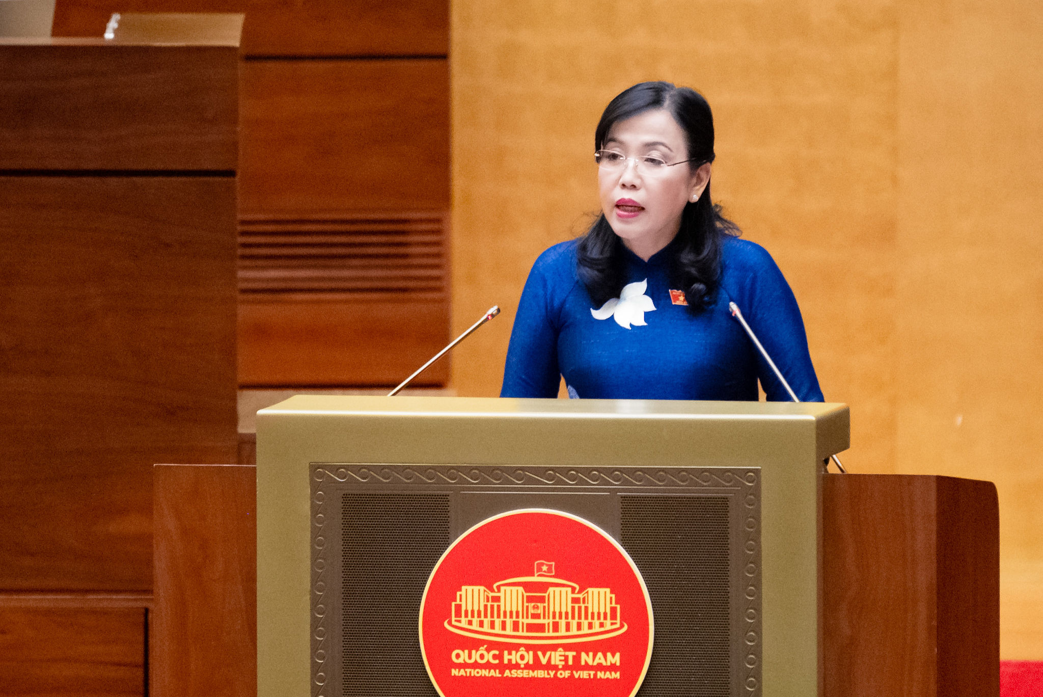 Chủ nhiệm Ủy ban Khoa học, Công nghệ và Môi trường Nguyễn Thanh Hải trình bày Báo cáo thẩm tra. Ảnh Phạm Thắng