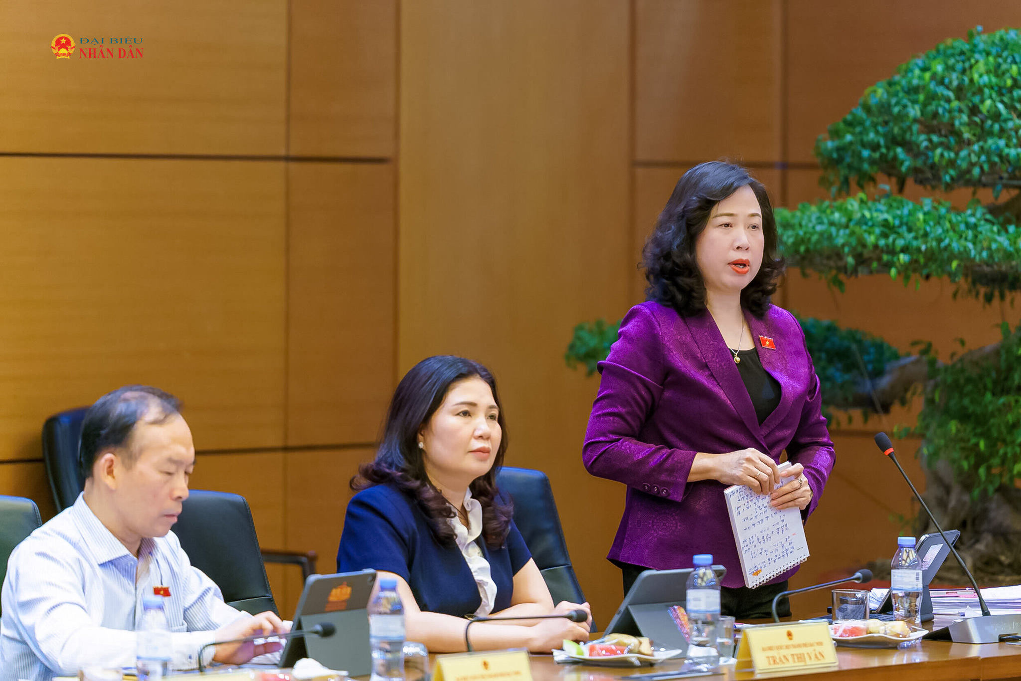ĐBQH Đào Hồng Lan (TP. Bắc Ninh) phát biểu thảo luận tại tổ. Ảnh: Phạm Thắng