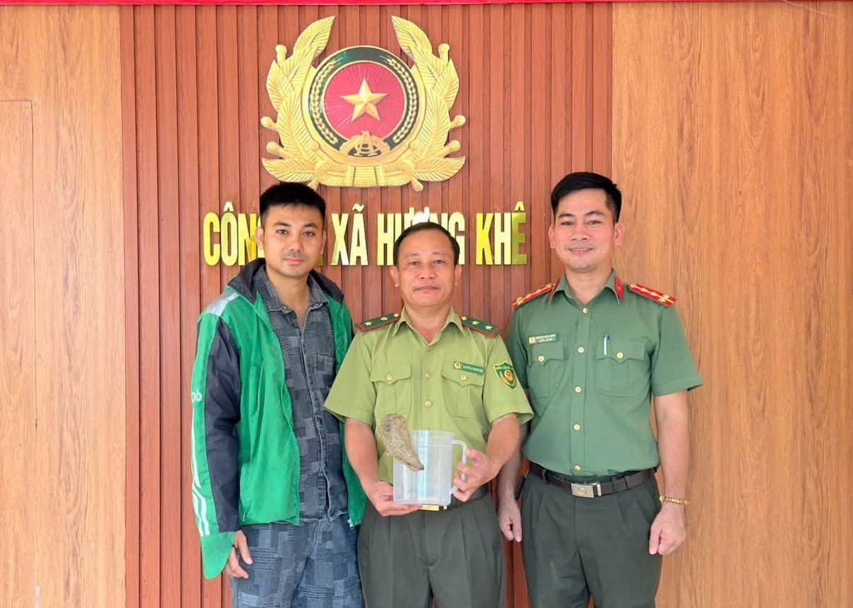 anh 3