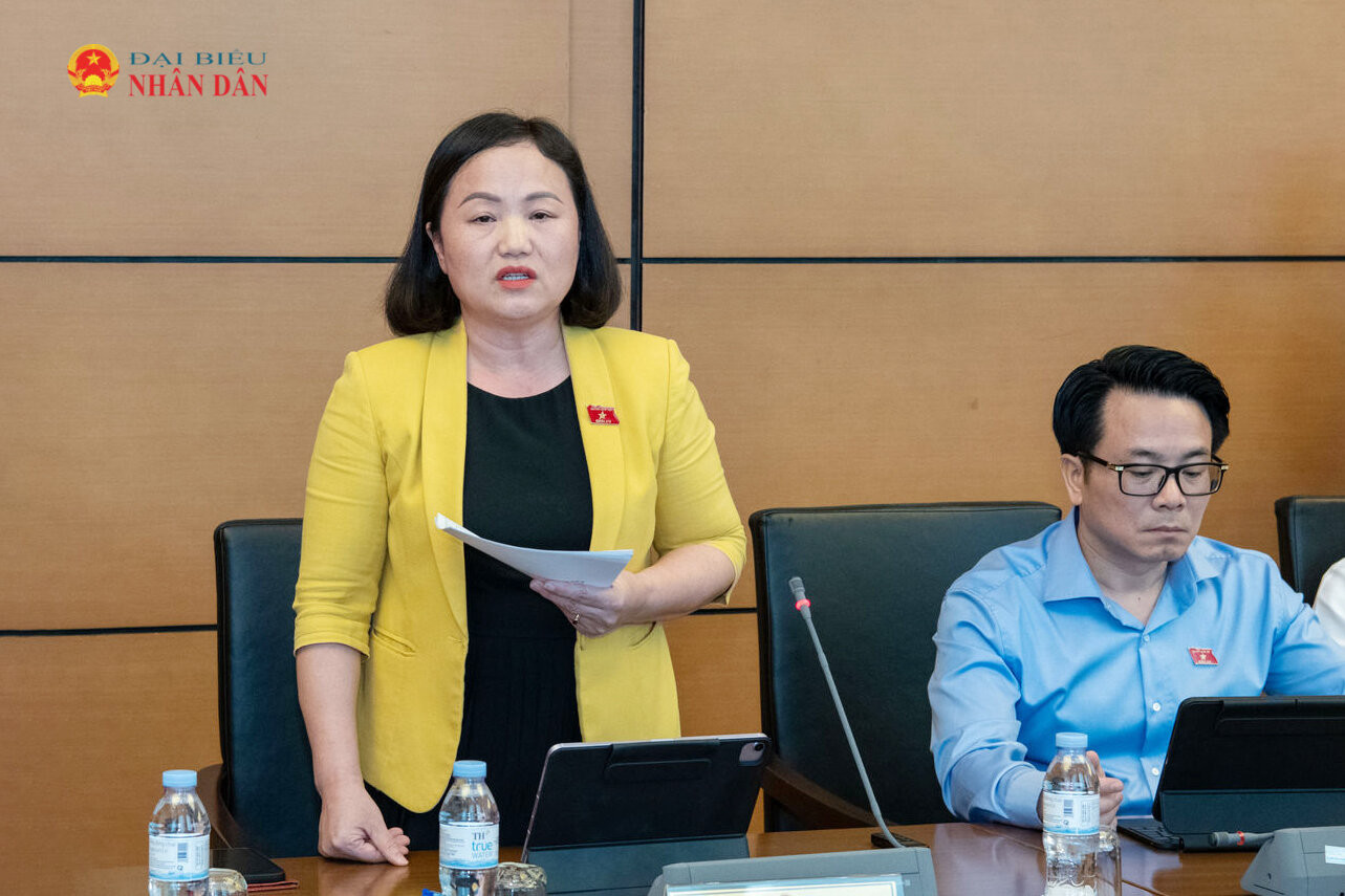 ĐBQH Phạm Thúy Chinh (TP. Hải Phòng) phát biểu thảo luận tại Tổ 3