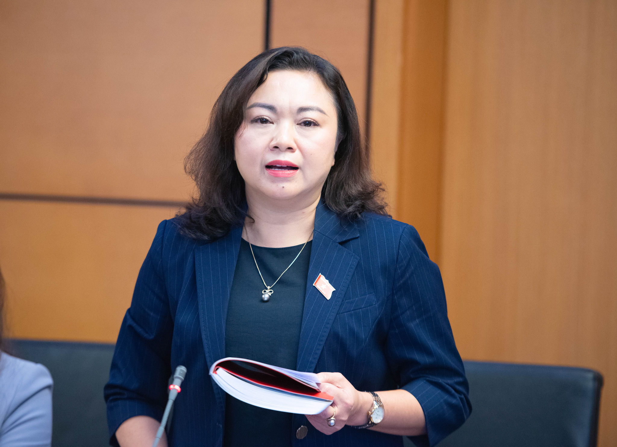 ĐBQH Đặng Bích Ngọc (Phú Thọ) (2)
