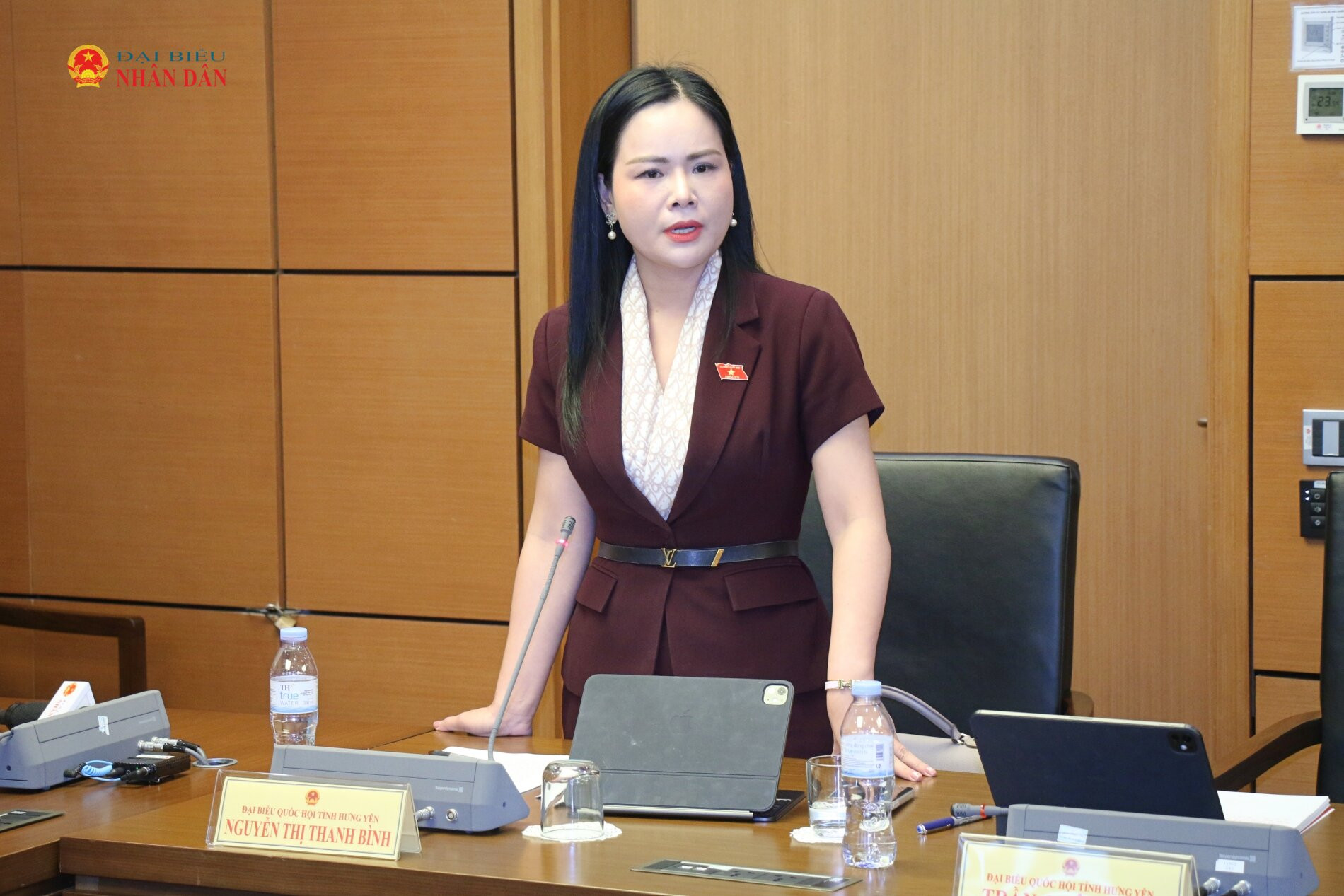 ĐBQH Nguyễn Thị Thanh Bình (Hưng Yên) phát biểu