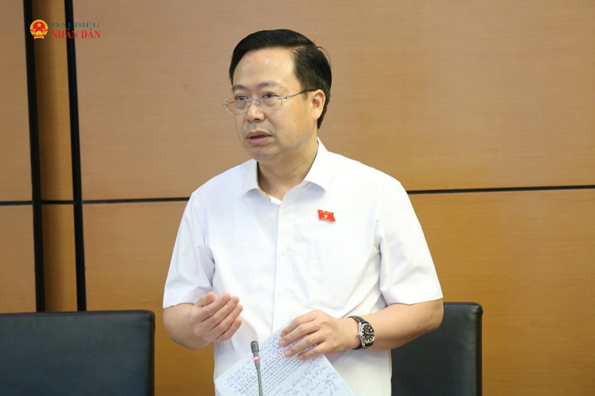 ĐBQH Nguyễn Đại Thắng (Hưng Yên) phát biểu