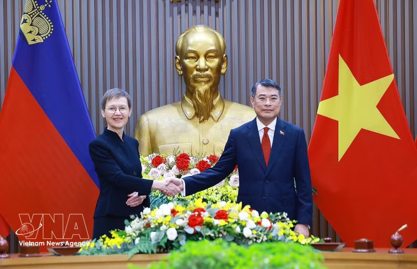 Prime Minister Le Minh Hung (R) and his Liechtenstein counterpart Brigitte Haas (Photo: VNA)