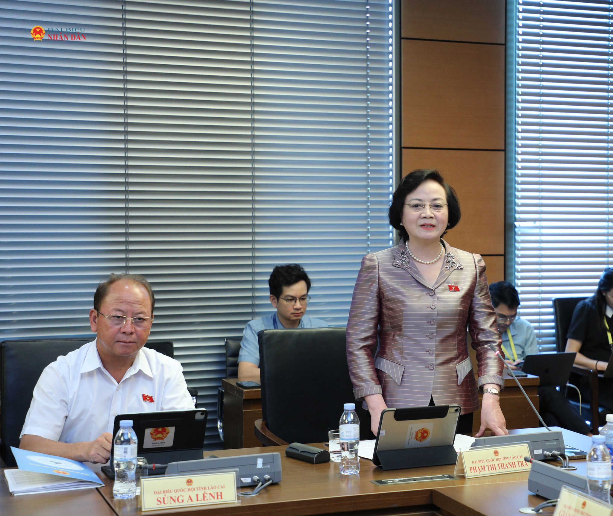 Phó Thủ tướng Chính phủ Phạm Thị Thanh Trà