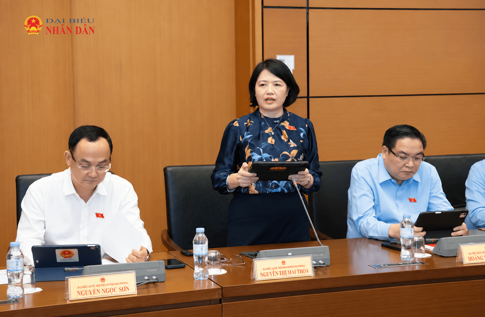 Vietnamese Assembly Committee Meeting