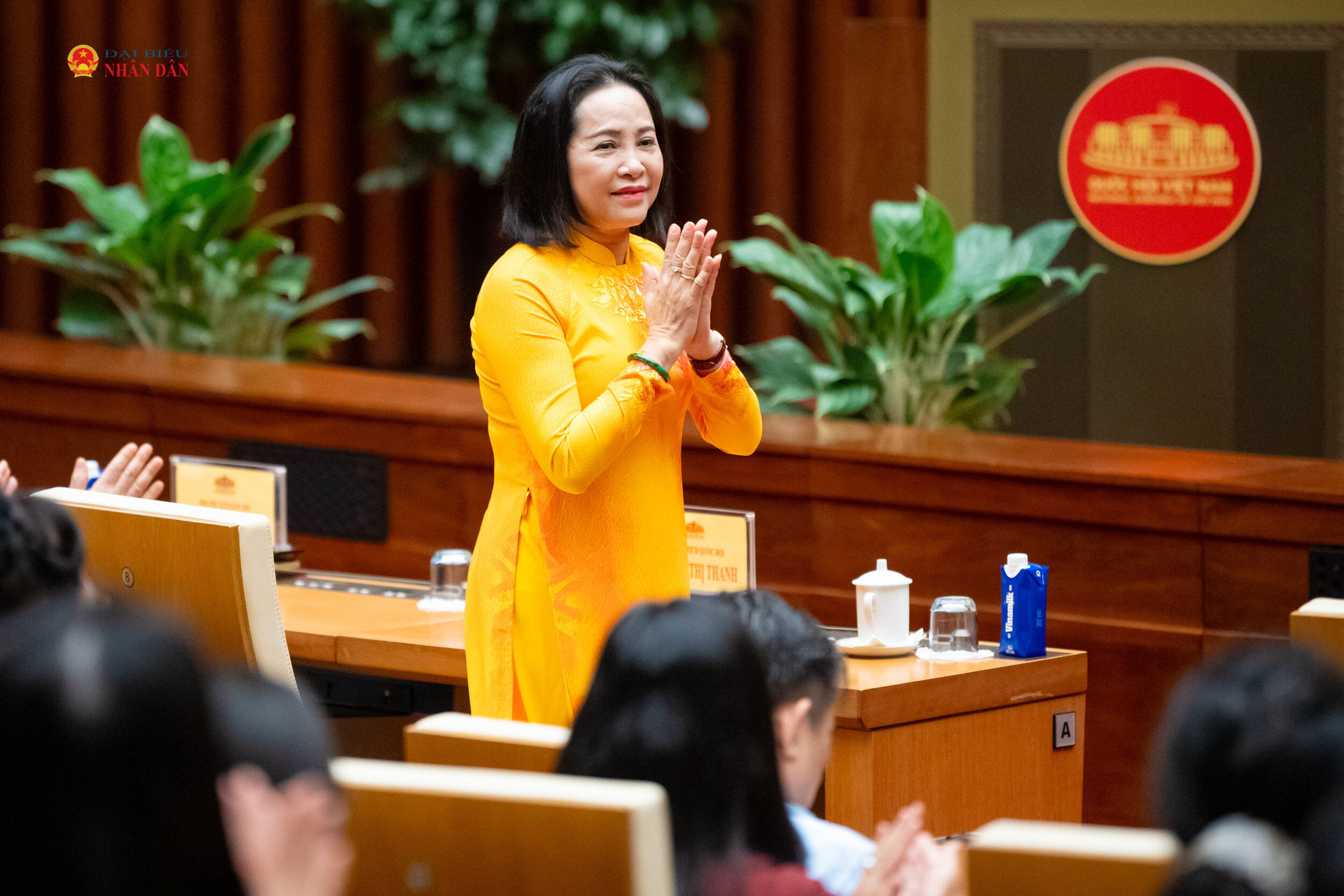 Phó Chủ tịch Quốc hội Nguyễn Thị Thanh - Chủ tịch Nhóm Nữ ĐBQH Việt Nam khóa XVI dự cuộc gặp mặt nữ đại biểu Quốc hội