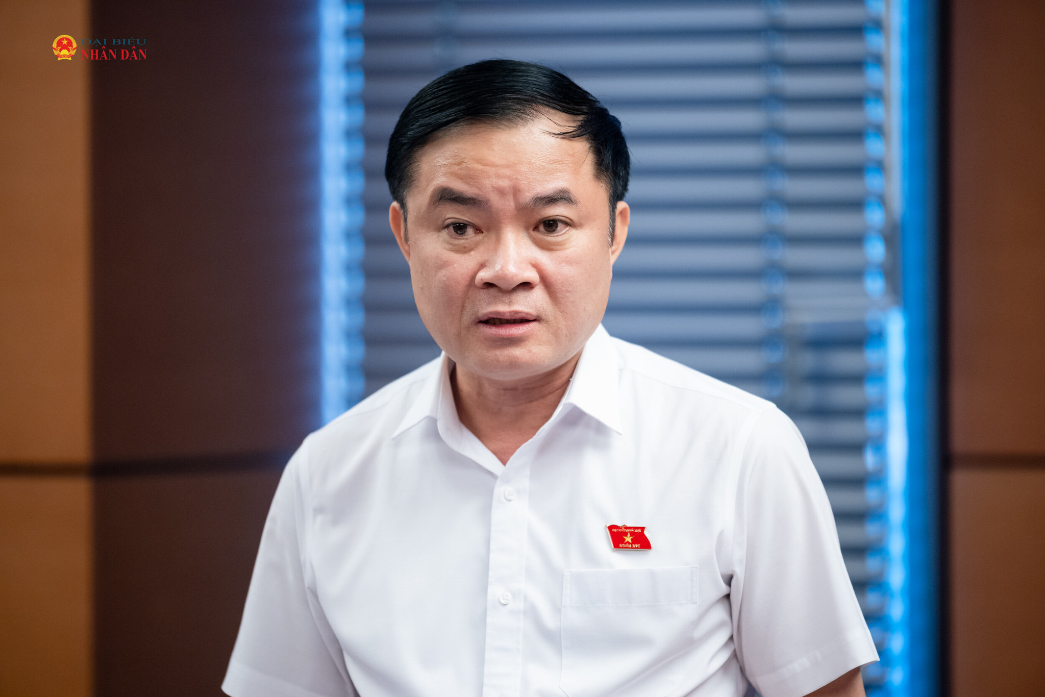 ĐBQH Lê Ngọc Sơn (TP. Hồ Chí Minh) phát biểu. Ảnh: Phạm Thắng