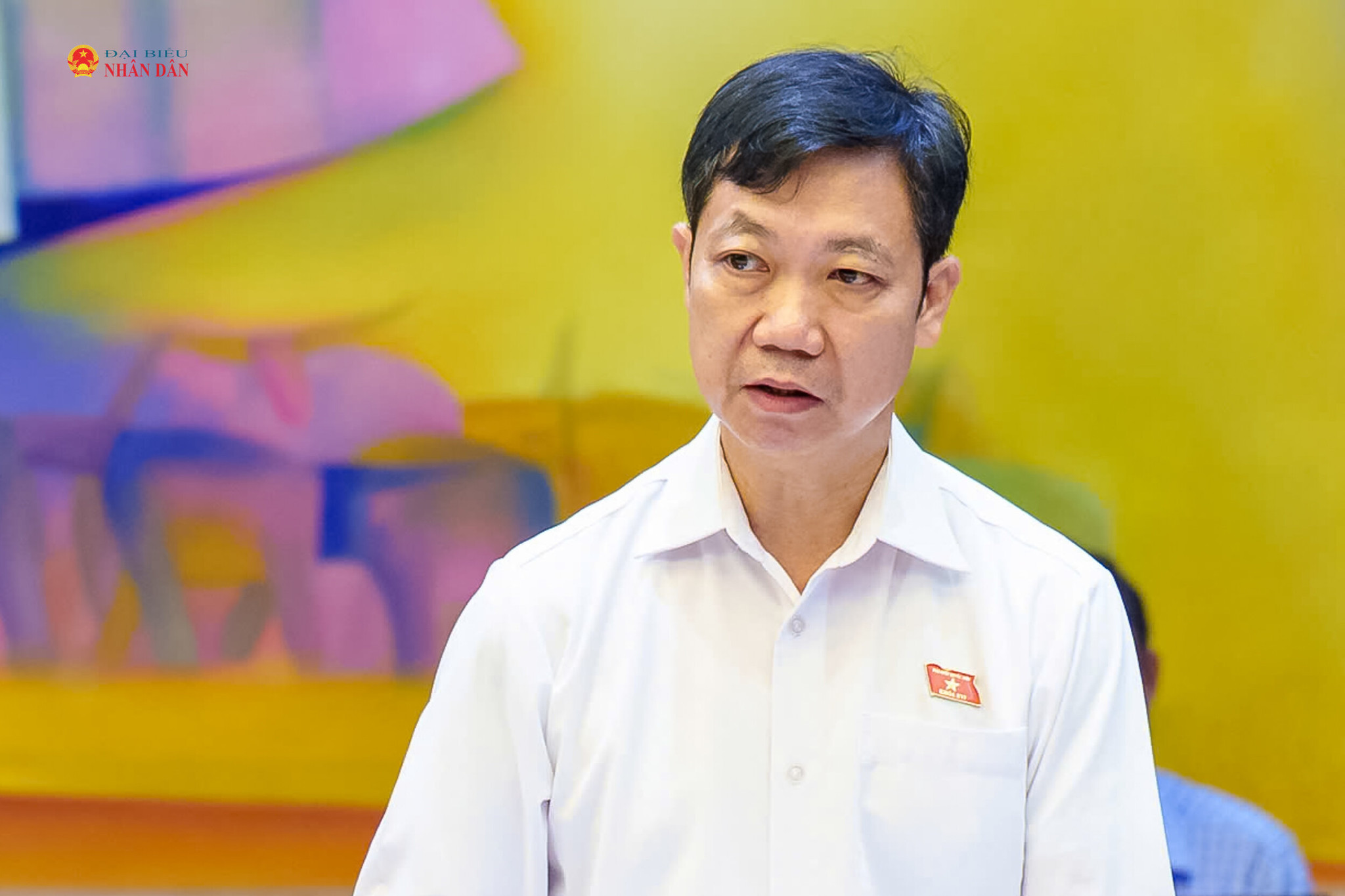 ĐBQH Phạm Đức Hoài (Tỉnh Lâm Đồng) phát biểu thảo luận tại tổ. Ảnh: Tiến Cường