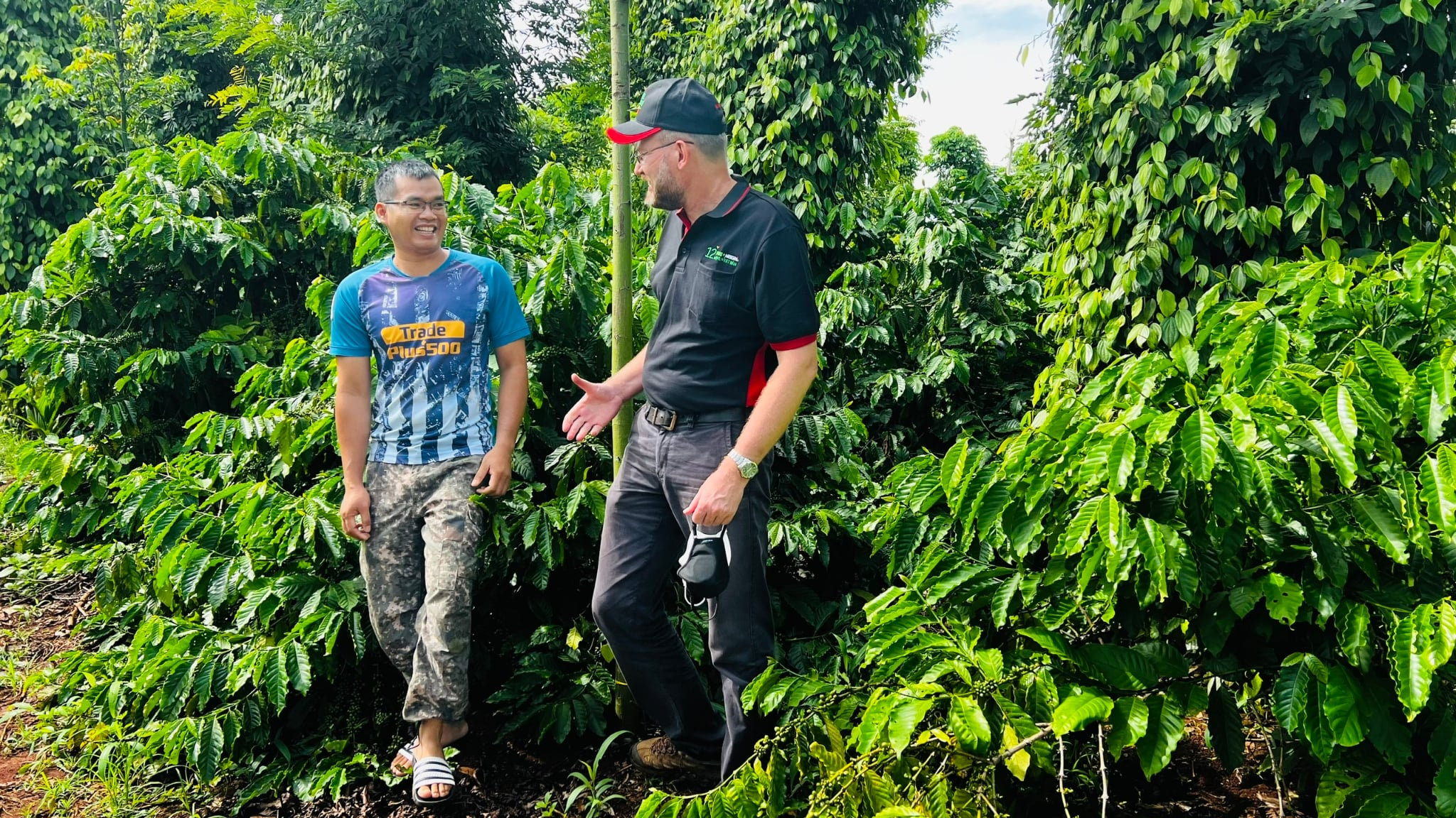 Chương trình Agripreneurship-Nescafé Plan không những giúp cải thiện sinh kế mà còn giúp trang bị những kiến thức khoa học về canh tác cà phê bền vững cho nông dân