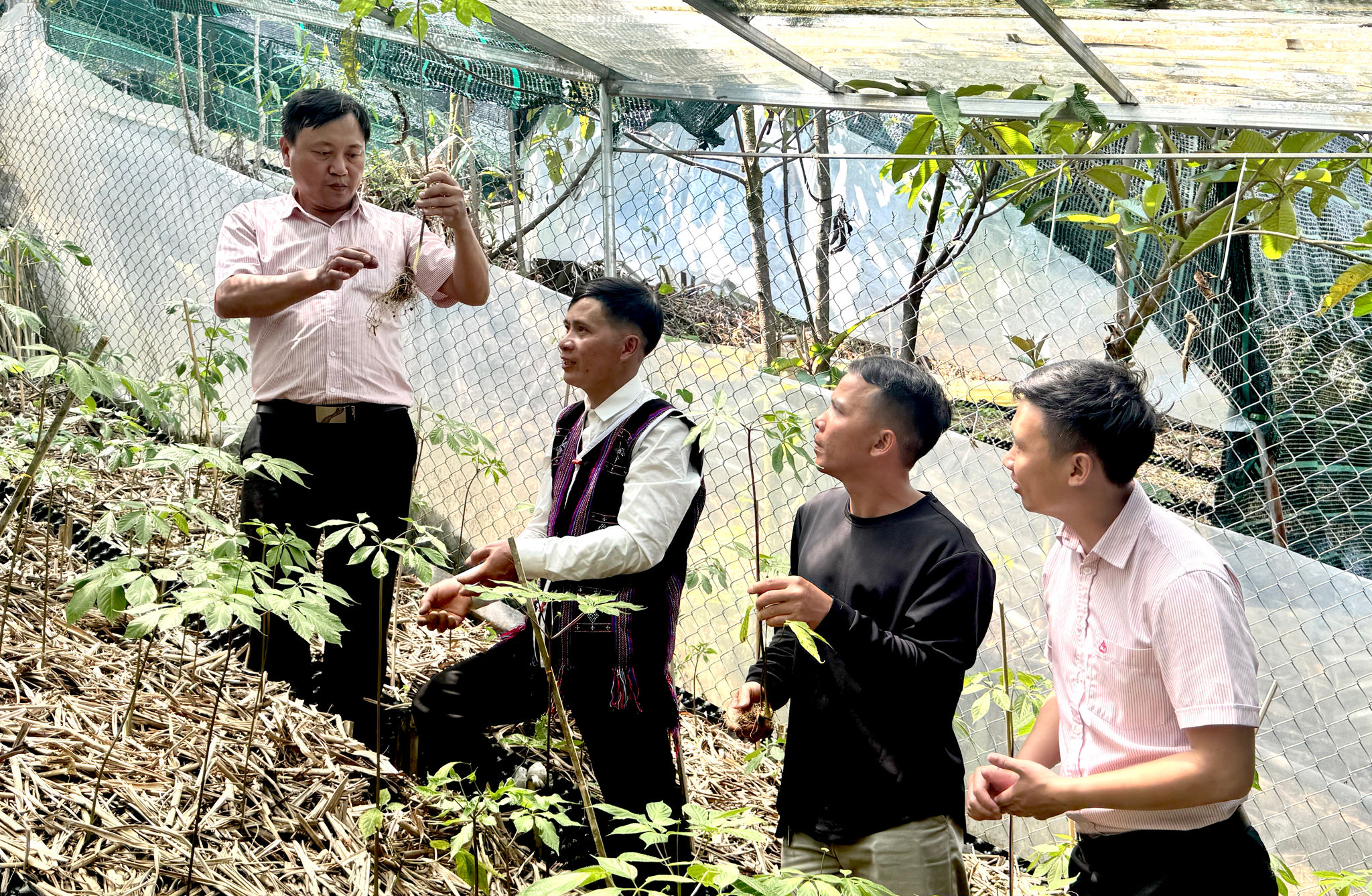 A 2Hồ Văn Lượng