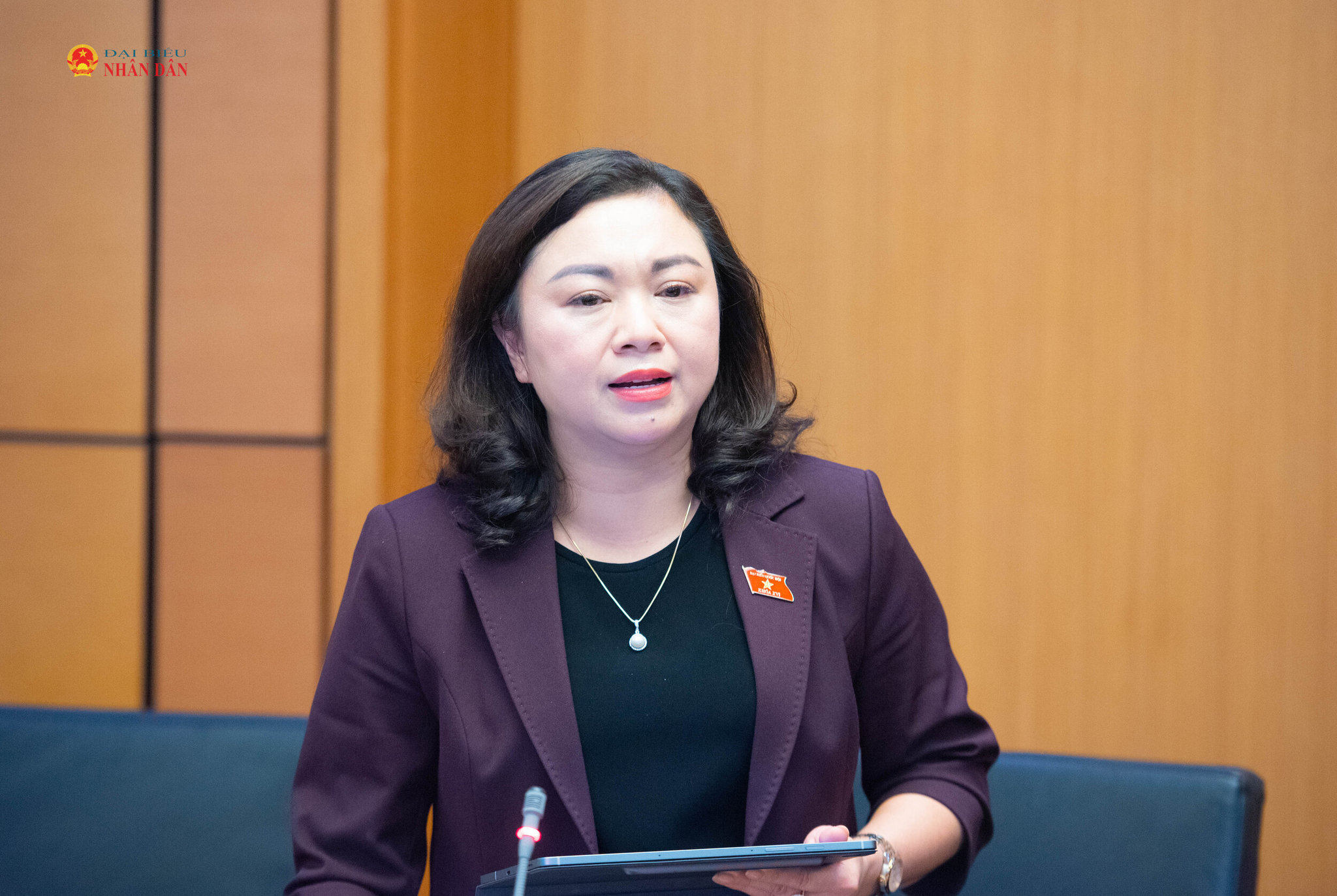 ĐBQH Đặng Bích Ngọc (Phú Thọ).Ảnh Xuân Quý (2)