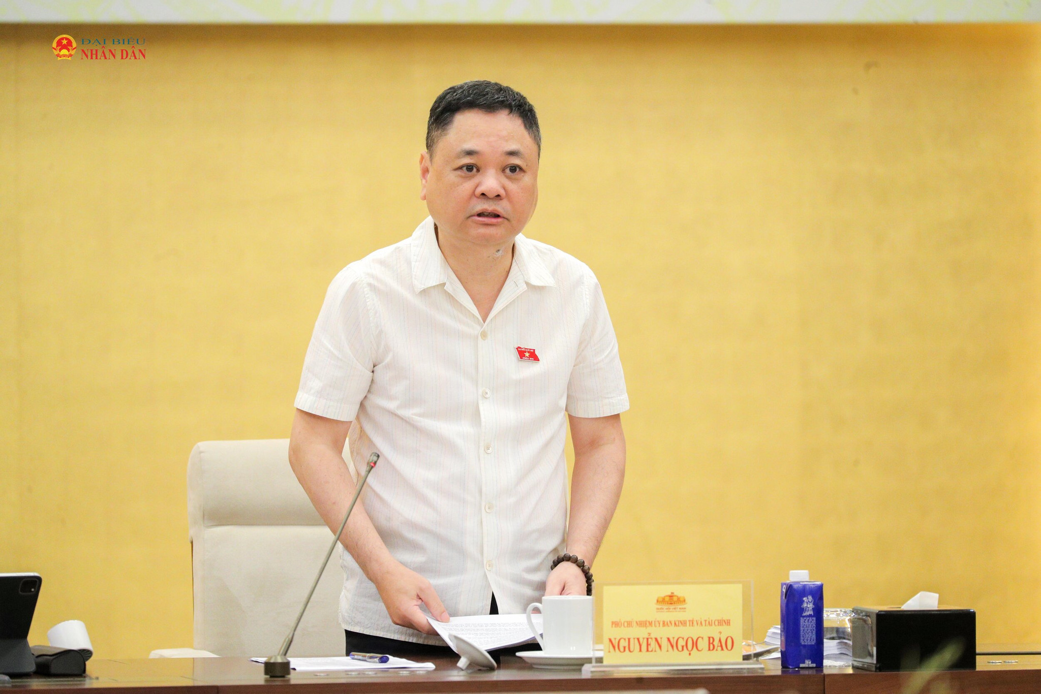 Phó Chủ nhiệm Ủy ban Kinh tế và Tài chính Nguyễn Ngọc Bảo. Ảnh Hồ Long