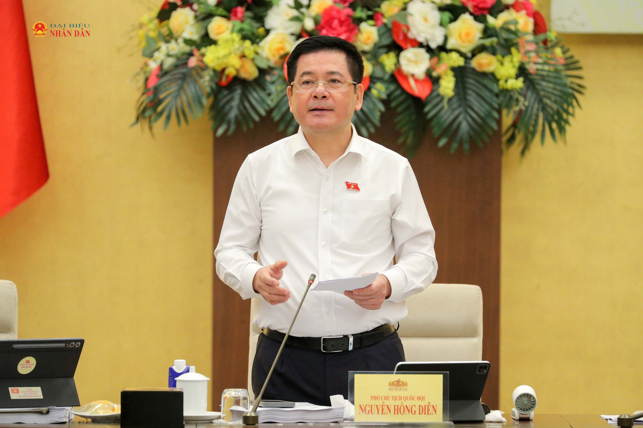 Phó Chủ tịch Quốc hội Nguyễn Hồng Diên phát biểu 1. Ảnh Hồ Long
