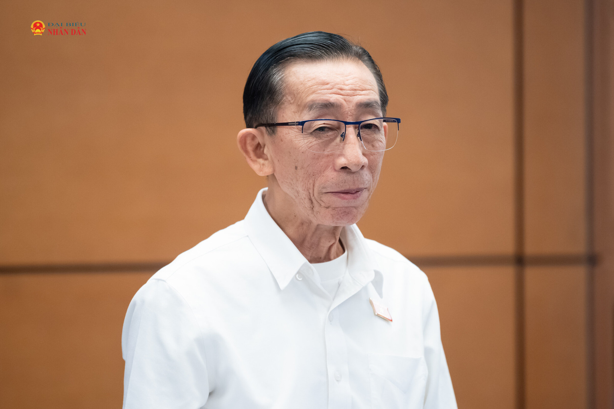 ĐBQH Trần Hoàng Ngân (TP. Hồ Chí Minh) phát biểu