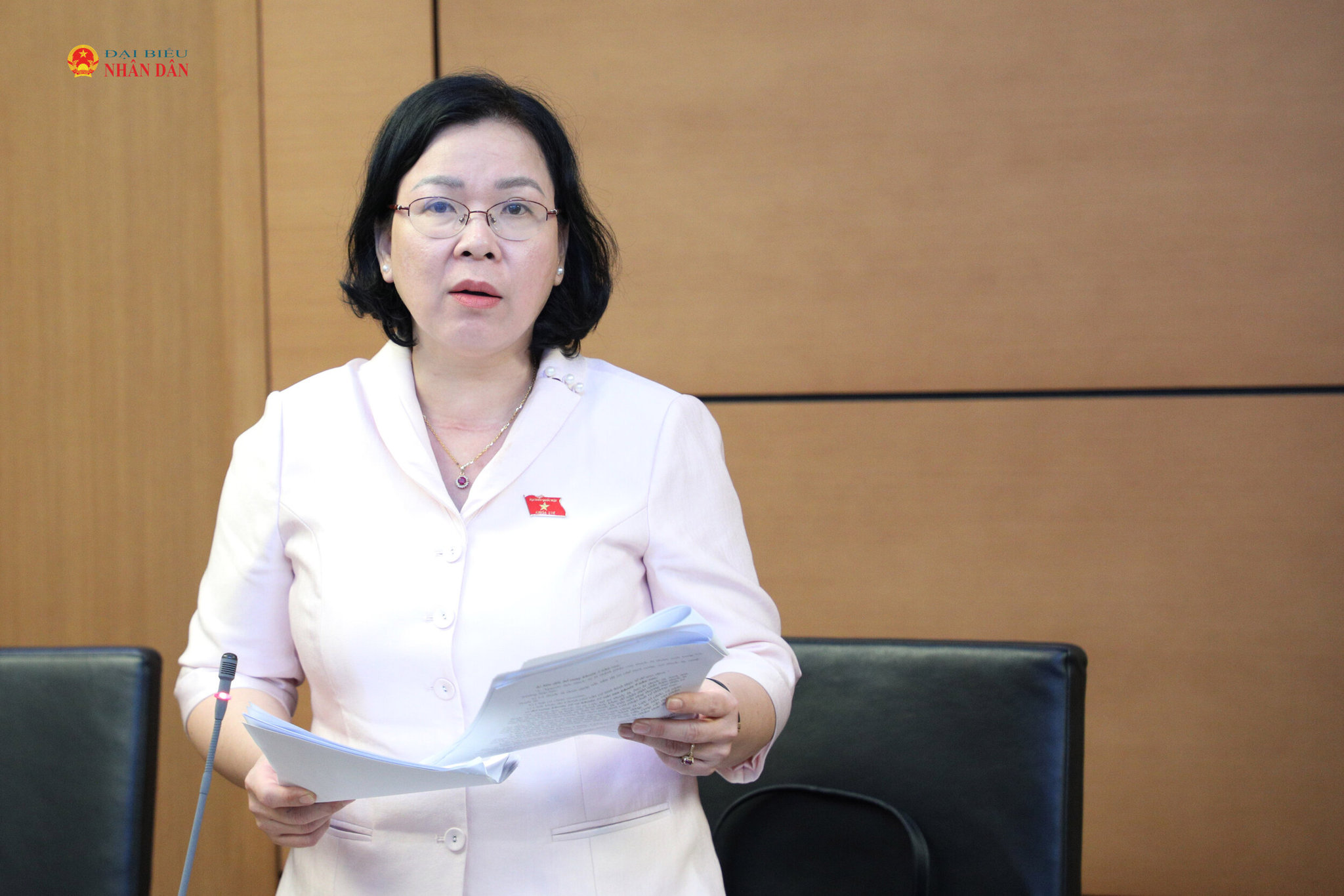 ĐBQH Trần Thị Thanh Lam (Vĩnh Long)