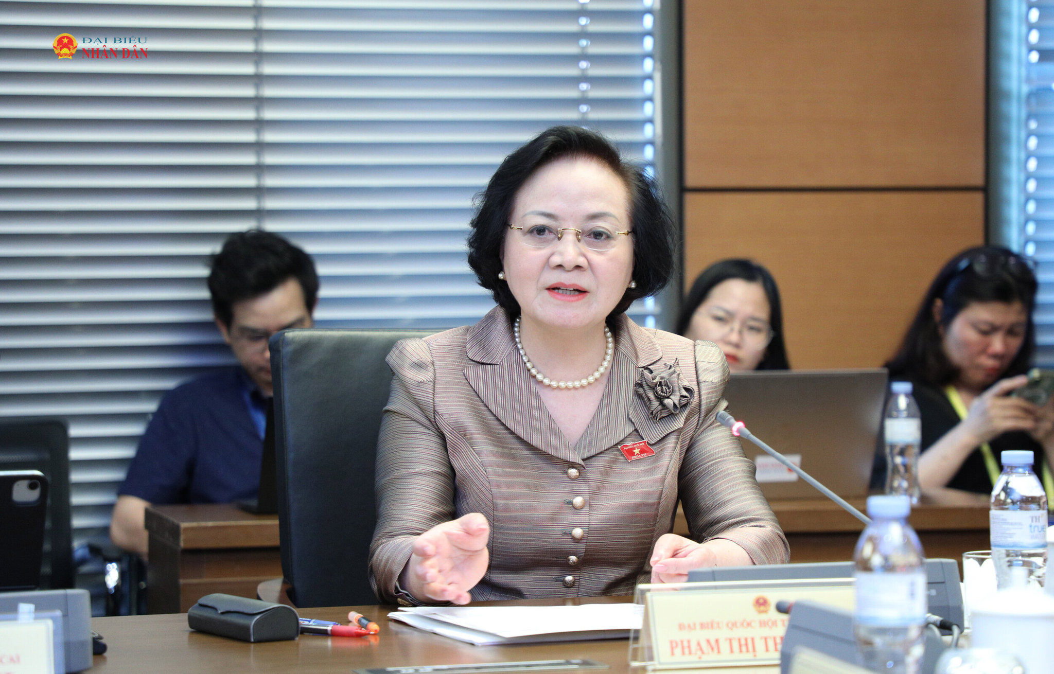Phó Thủ tướng Phạm Thị Thanh Trà phát biểu