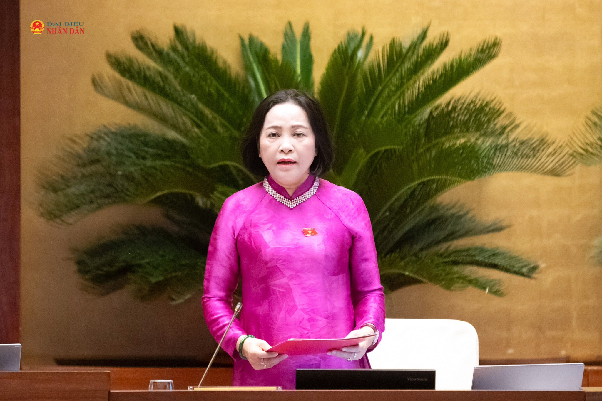 Phó Chủ tịch Quốc hội Nguyễn Thị Thanh điều hành phiên họp