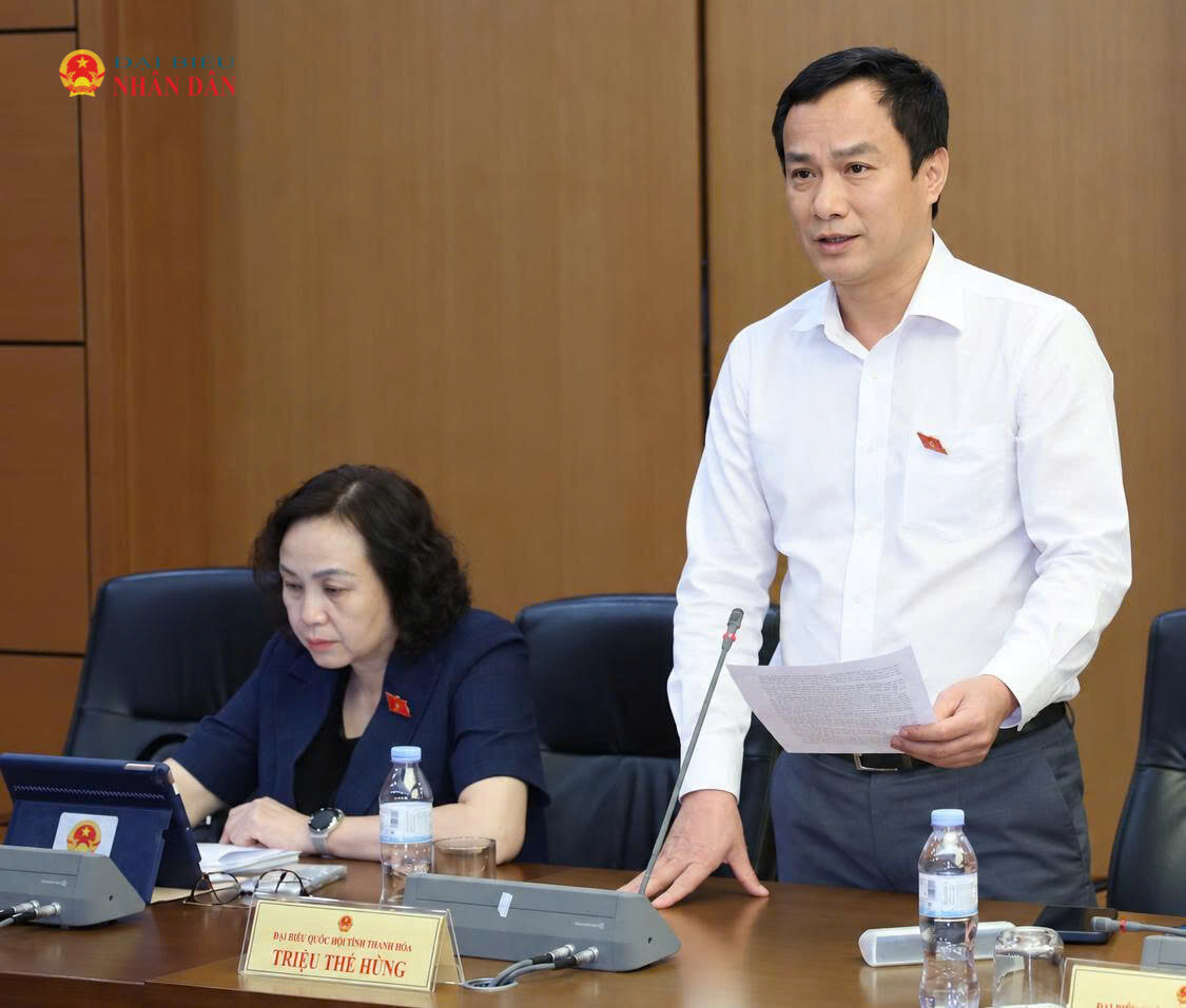 ĐBQH Triệu Thế Hùng (Thanh Hóa) phát biểu