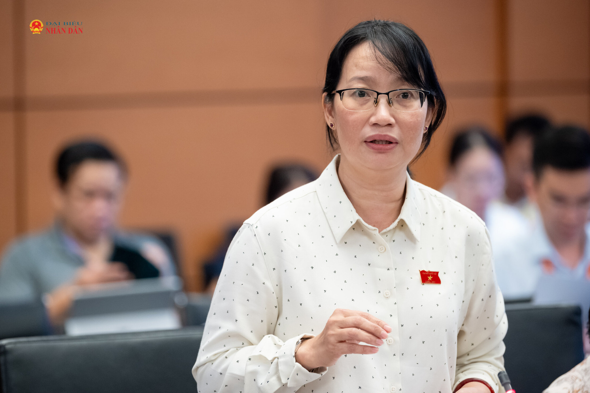 ĐBQH Trần Thị Diệu Thúy (TP. Hồ Chí Minh) phát biểu