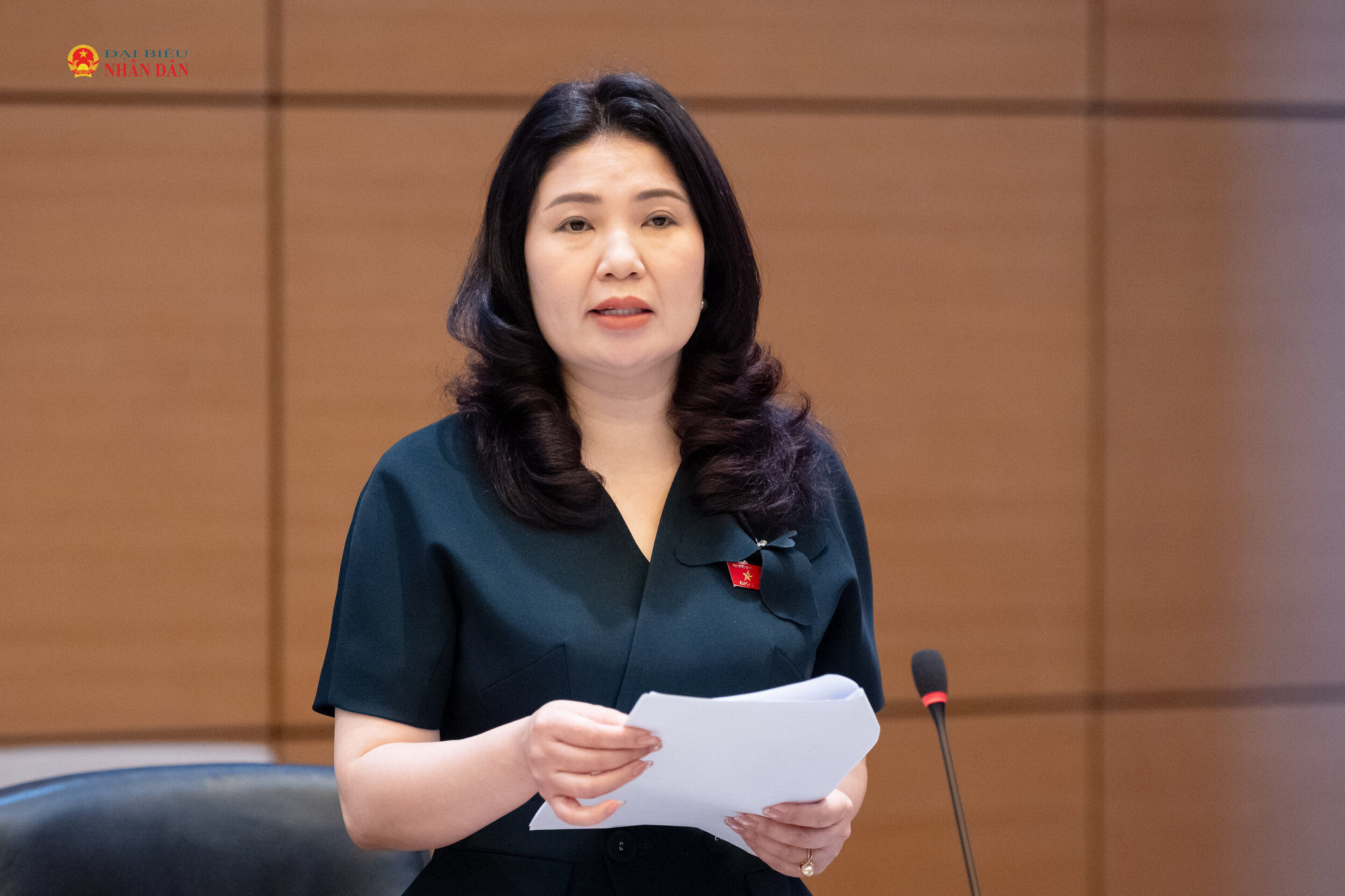 ĐBQH Trần Thị Vân (TP. Bắc Ninh) phát biểu thảo luận. Ảnh: Phạm Thắng