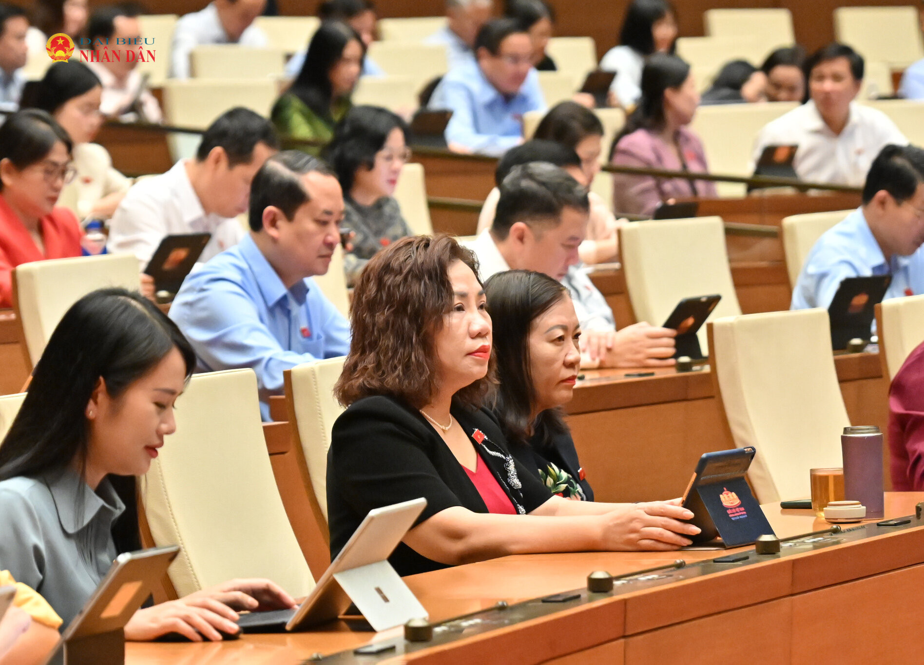 Các đại biểu tham dự phiên họpVQK_8981
