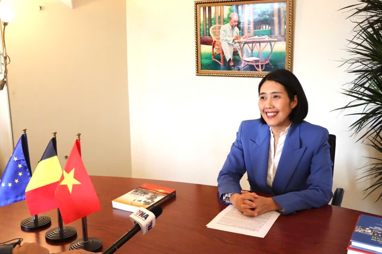 Đại sứ Nguyễn Hương Trà, Đại sứ Việt Nam tại Vương quốc Bỉ, Trưởng Phái đoàn Việt Nam bên cạnh Liên minh châu Âu. (