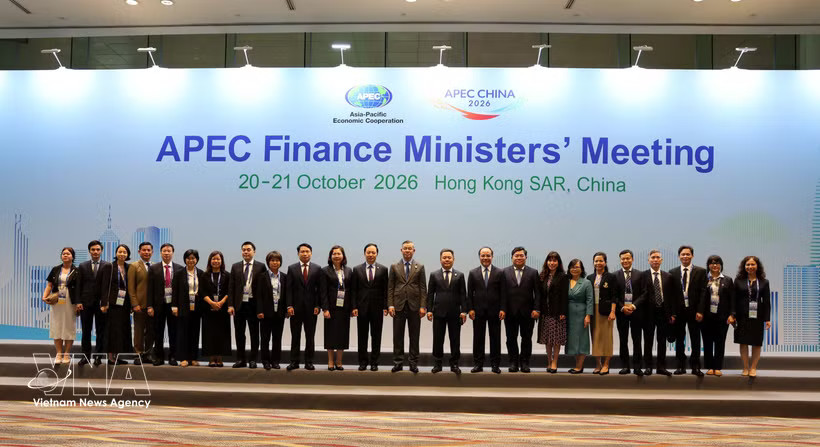 The Vietnamese delegation attends the conference. (Photo: VNA)