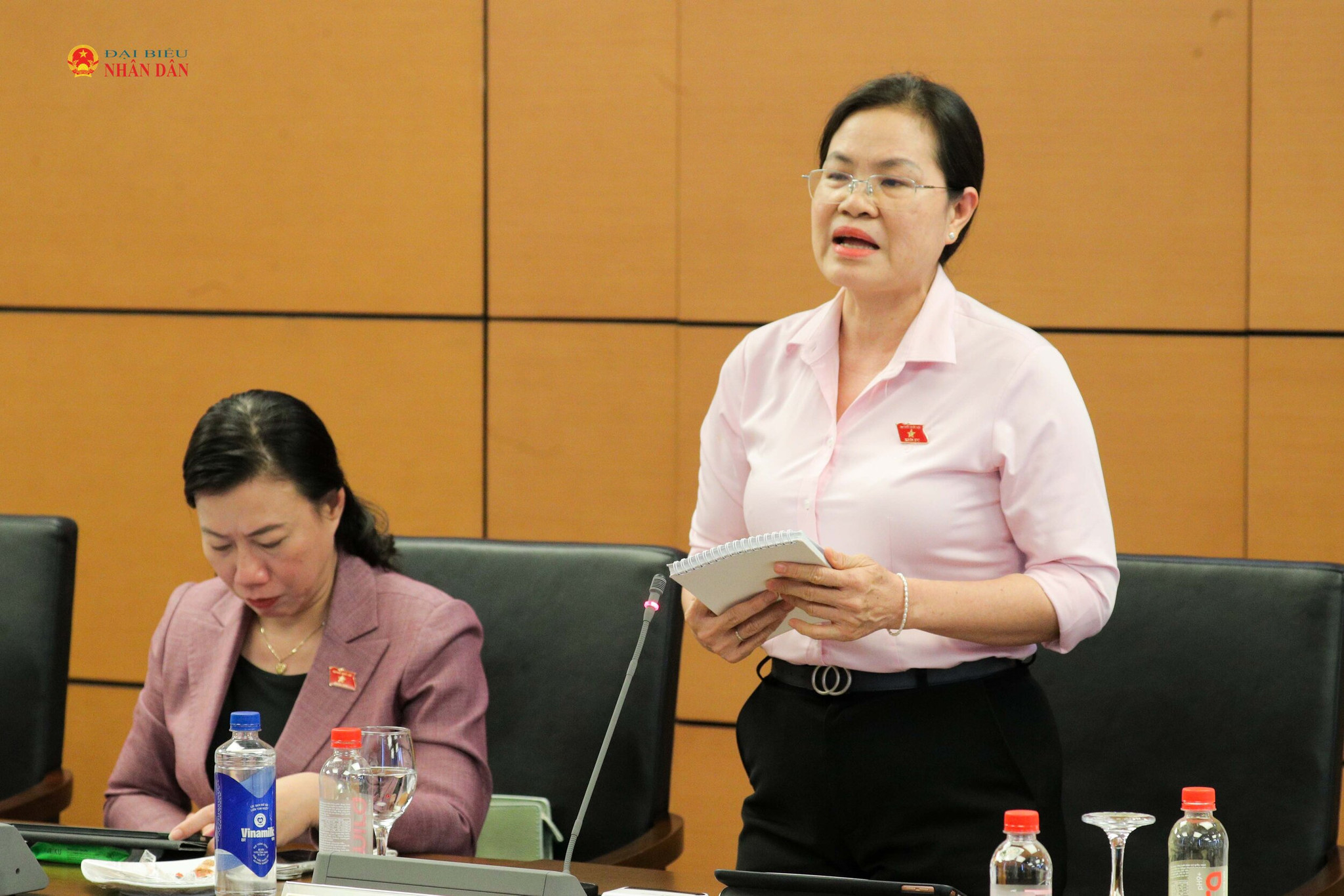 ĐBQH Nguyễn Thị Hồng Hạnh(TP. Hồ Chí Minh) phát biểu 1. Ảnh Hồ Long