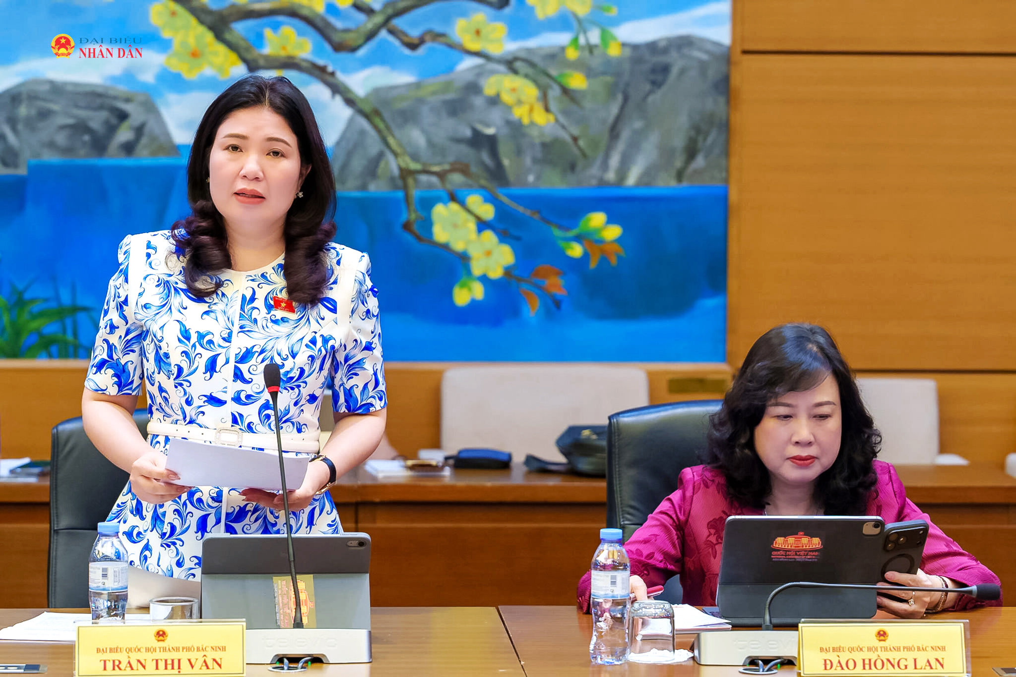 ĐBQH Trần Thị Vân (TP. Bắc Ninh) phát biểu