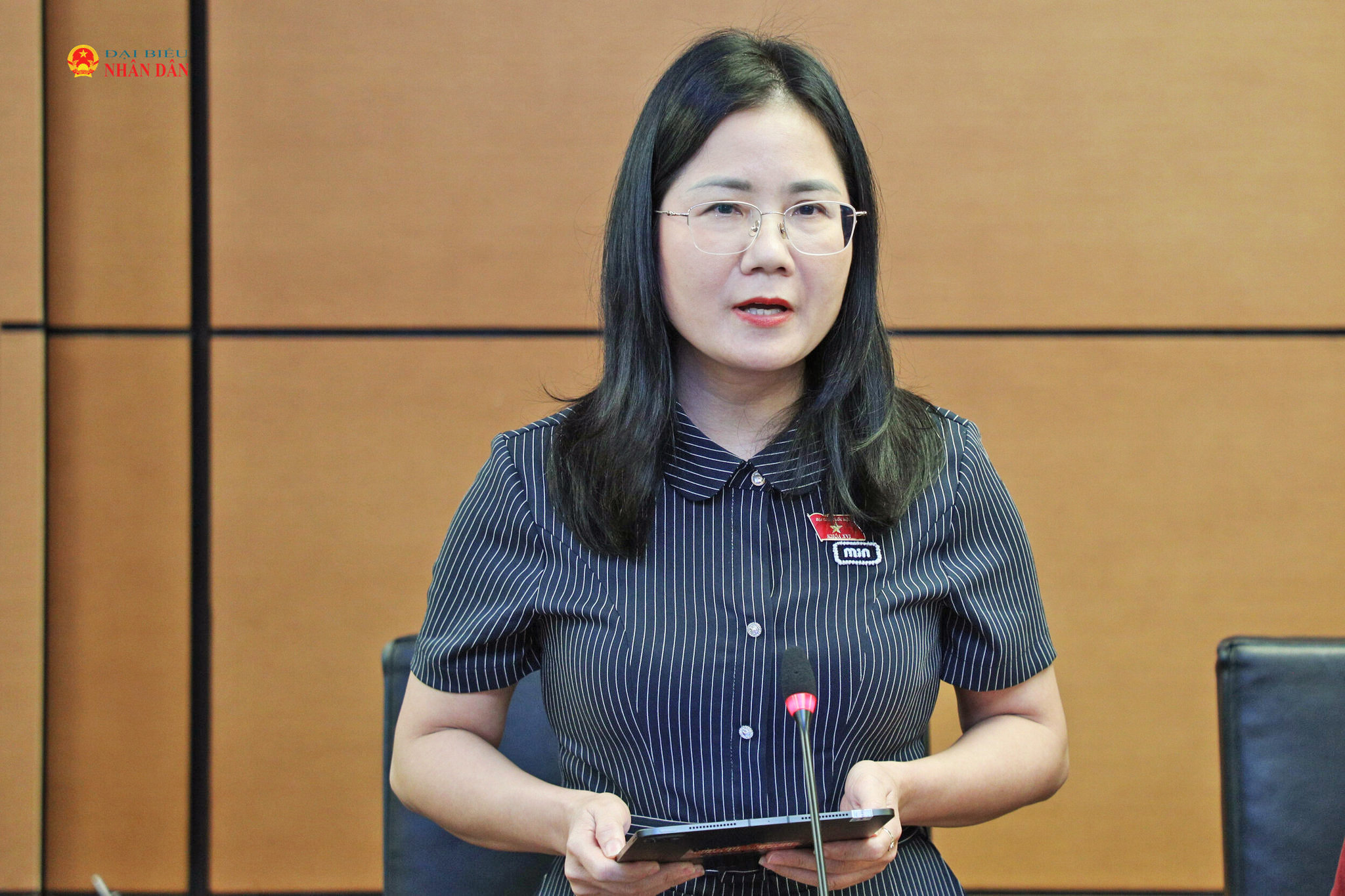 ĐBQH Nguyễn Thị Minh Tú (Nghệ An) phát biểu