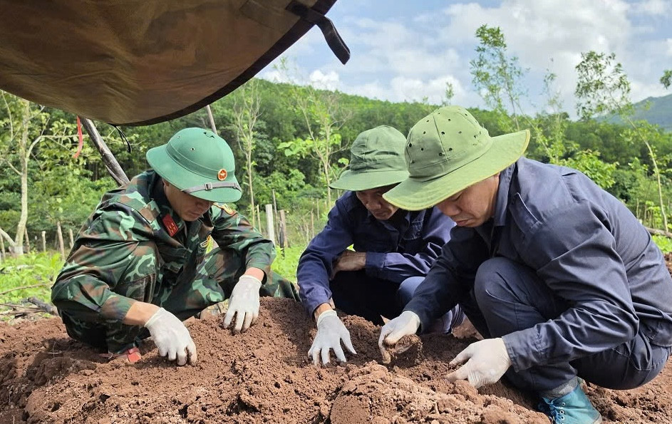 Lực lượng quy tập cẩn trọng tìm kiếm hài các phần của hài cốt tại khu vực rừng tràm