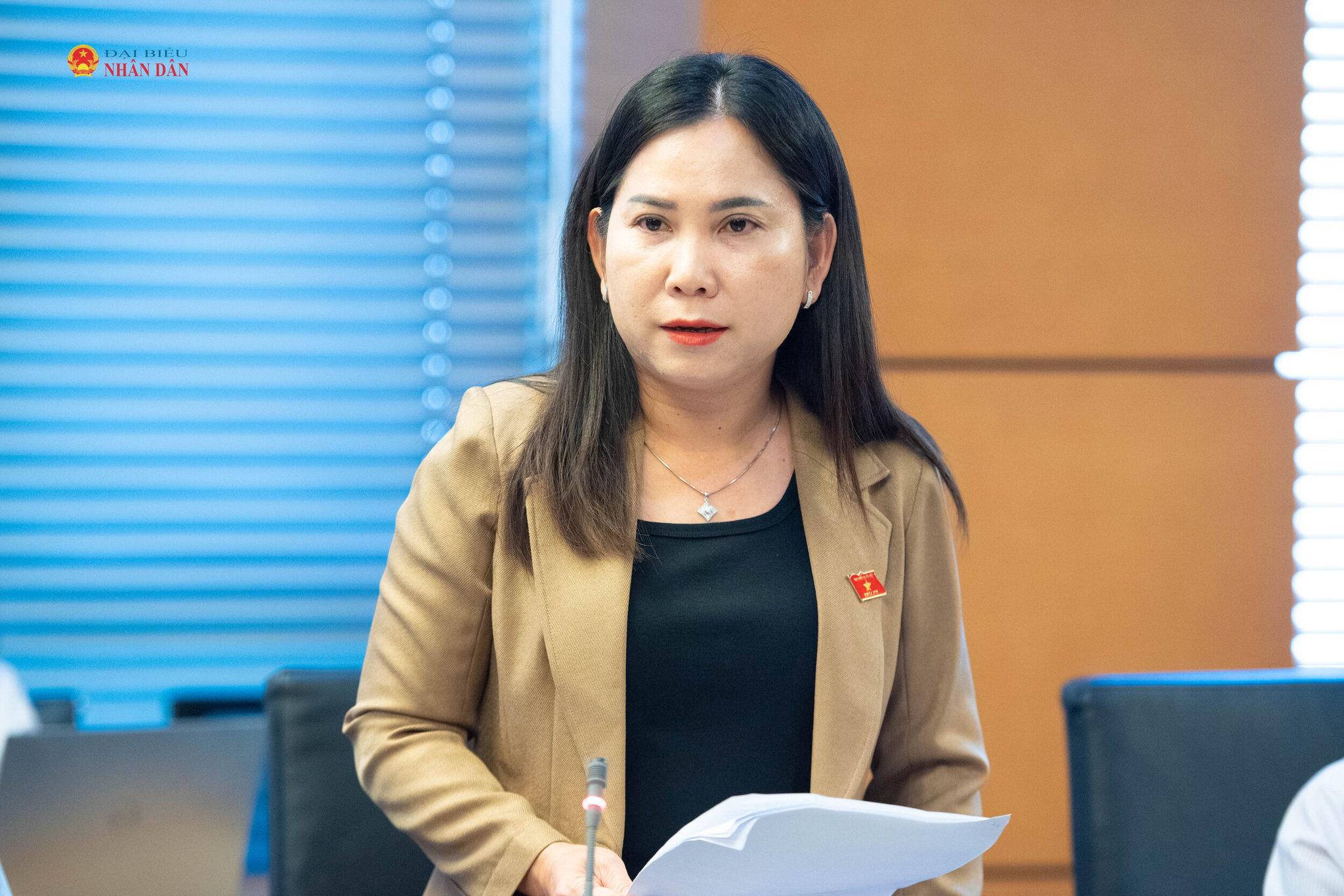 ĐBQH Lê Thị Ngọc Linh (Cà Mau) phát biểu. Ảnh Xuân Quý (2)