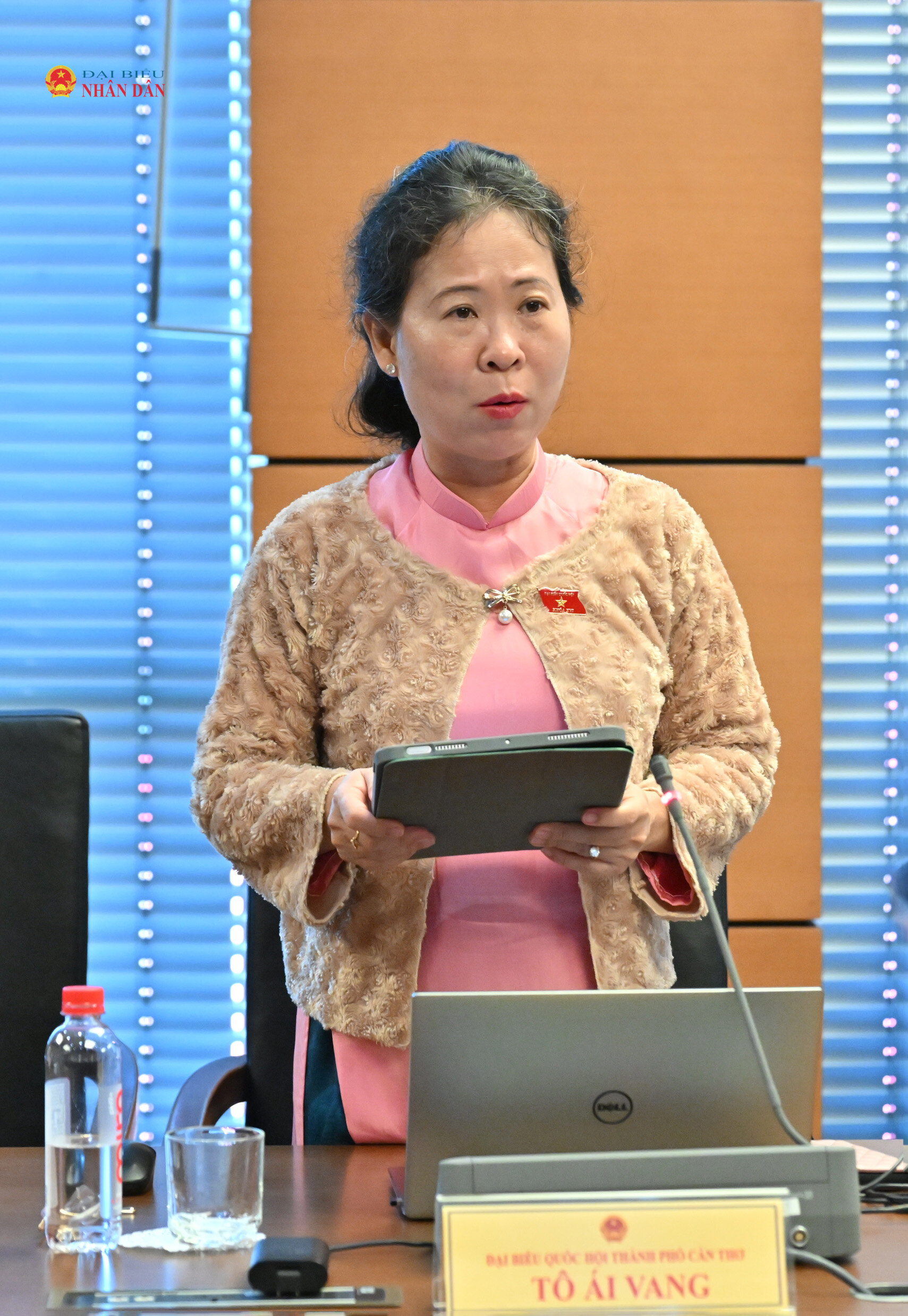 ĐBQH Tô Ái Vang (TP. Cần Thơ)