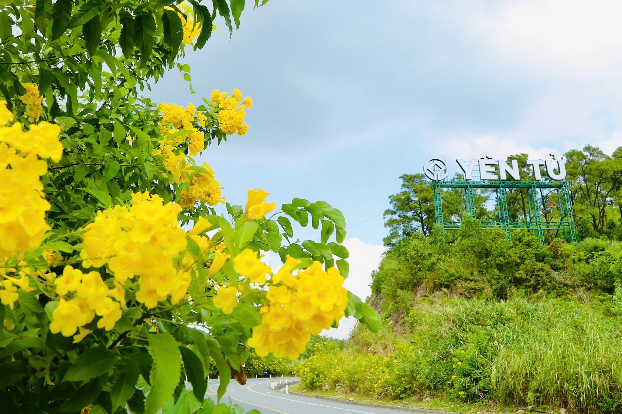 Gallery - Quảng Ninh: Lan tỏa giá trị di sản văn hóa thế giới Yên Tử qua chuỗi sự kiện thể thao dịp cuối năm - image 10