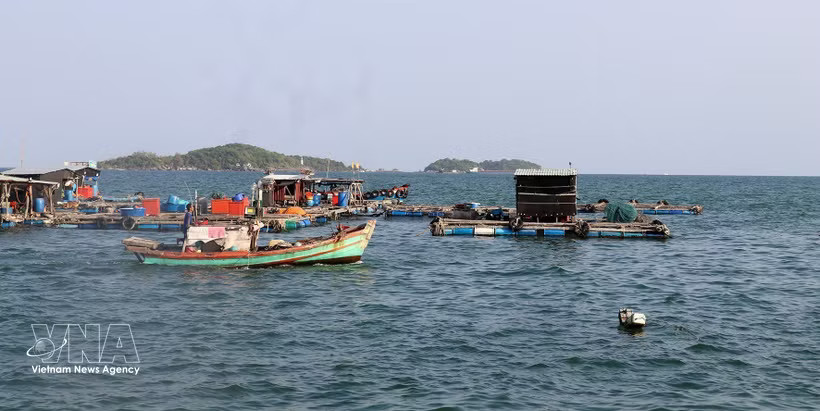 Vessels in the area of An Thoi fishing port in An Giang province (Photo: VNA)