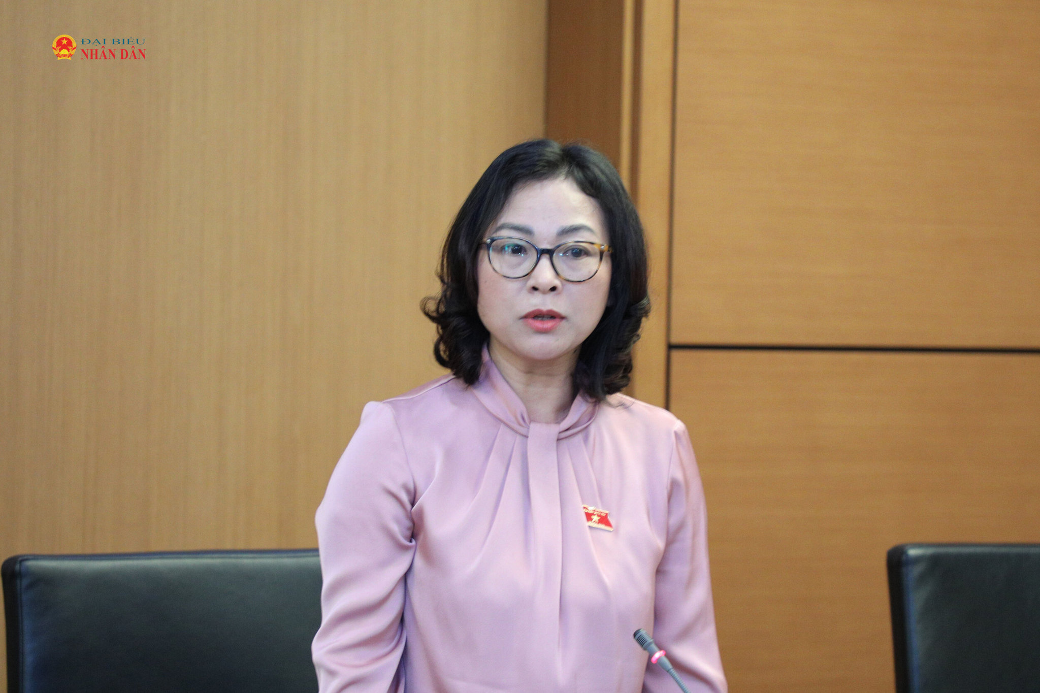 ĐBQH Tống Thị Hạnh (Vĩnh Long)