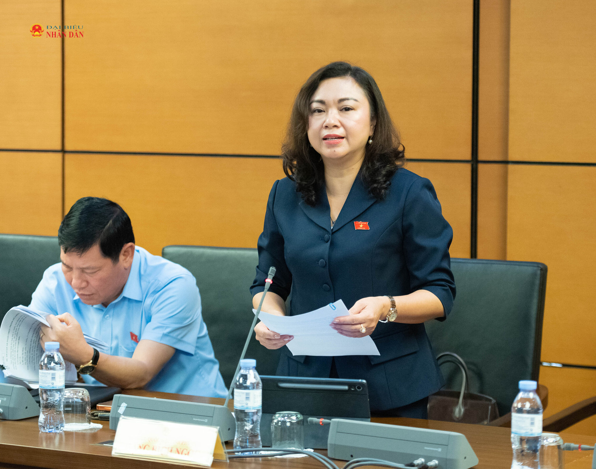 ĐBQH Đặng Bích Ngọc (Phú Thọ) phát biểu. Ảnh: Xuân Quý