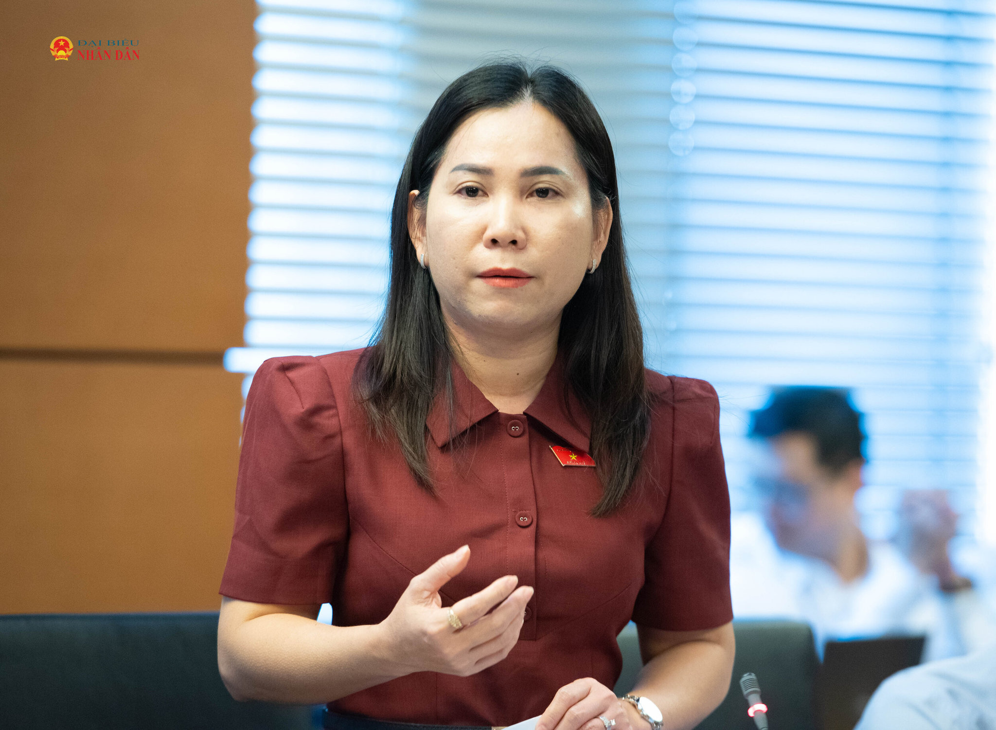 ĐBQH Lê Thị Ngọc Linh (Cà Mau) phát biểu. Ảnh Xuân Quý (2)