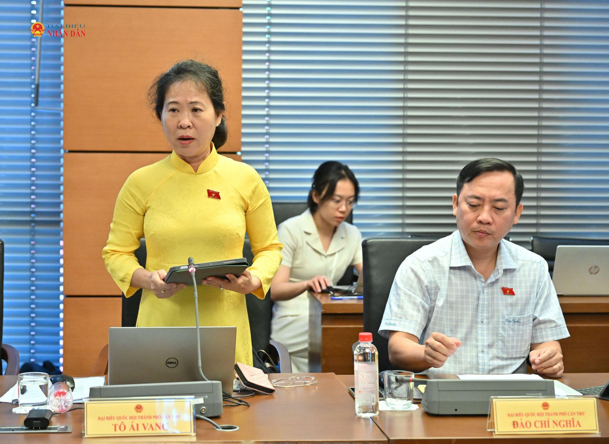 ĐBQH Tô Ái Vang (TP. Cần Thơ)