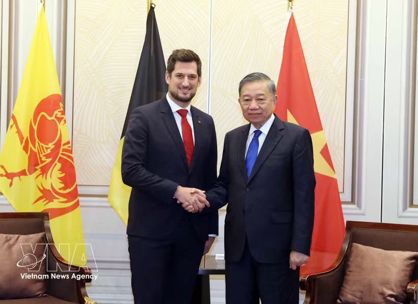 General Secretary of the Communist Party of Vietnam Central Committee and President To Lam (R) receives Minister-President of the Wallonia region Adrien Dolimont in Brussels on October 23. (Photo: VNA)