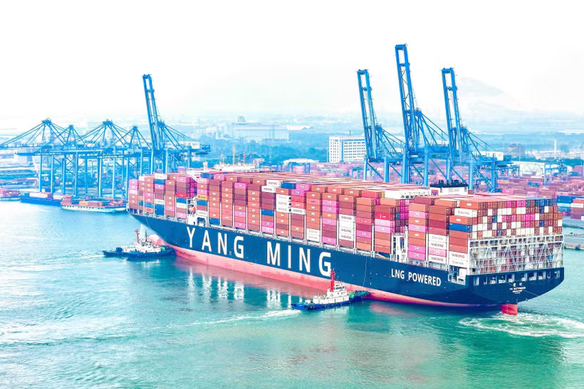 Container ship YM Wayfinder on its first-ever call at the Tan Cang - Cai Mep International Terminal (Photo published by VNA)