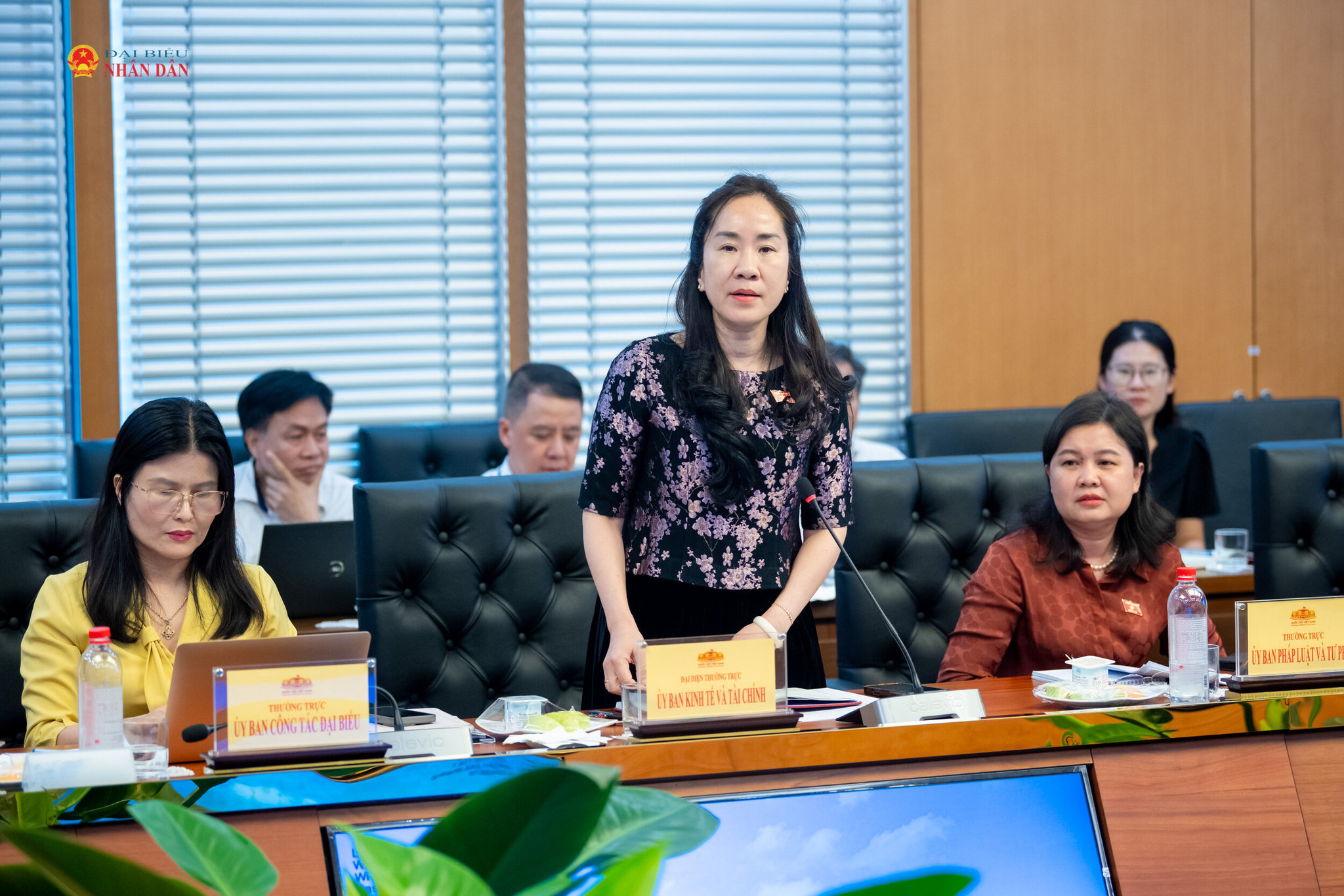 Phó Chủ nhiệm Ủy ban Kinh tế và Tài chính Đoàn Thị Thanh Mai phát biểu