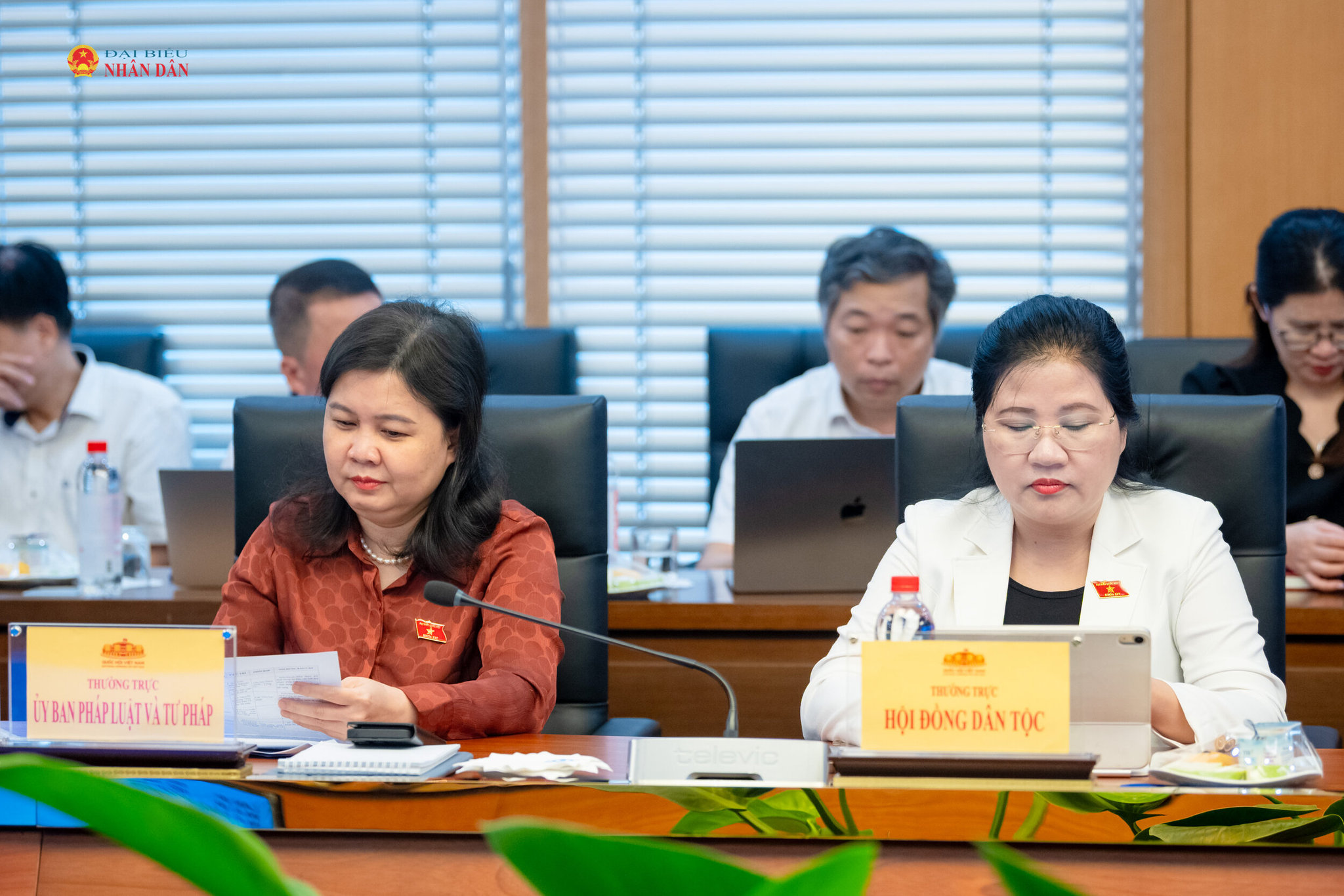 Đại biểu tham dự cuộc làm việc